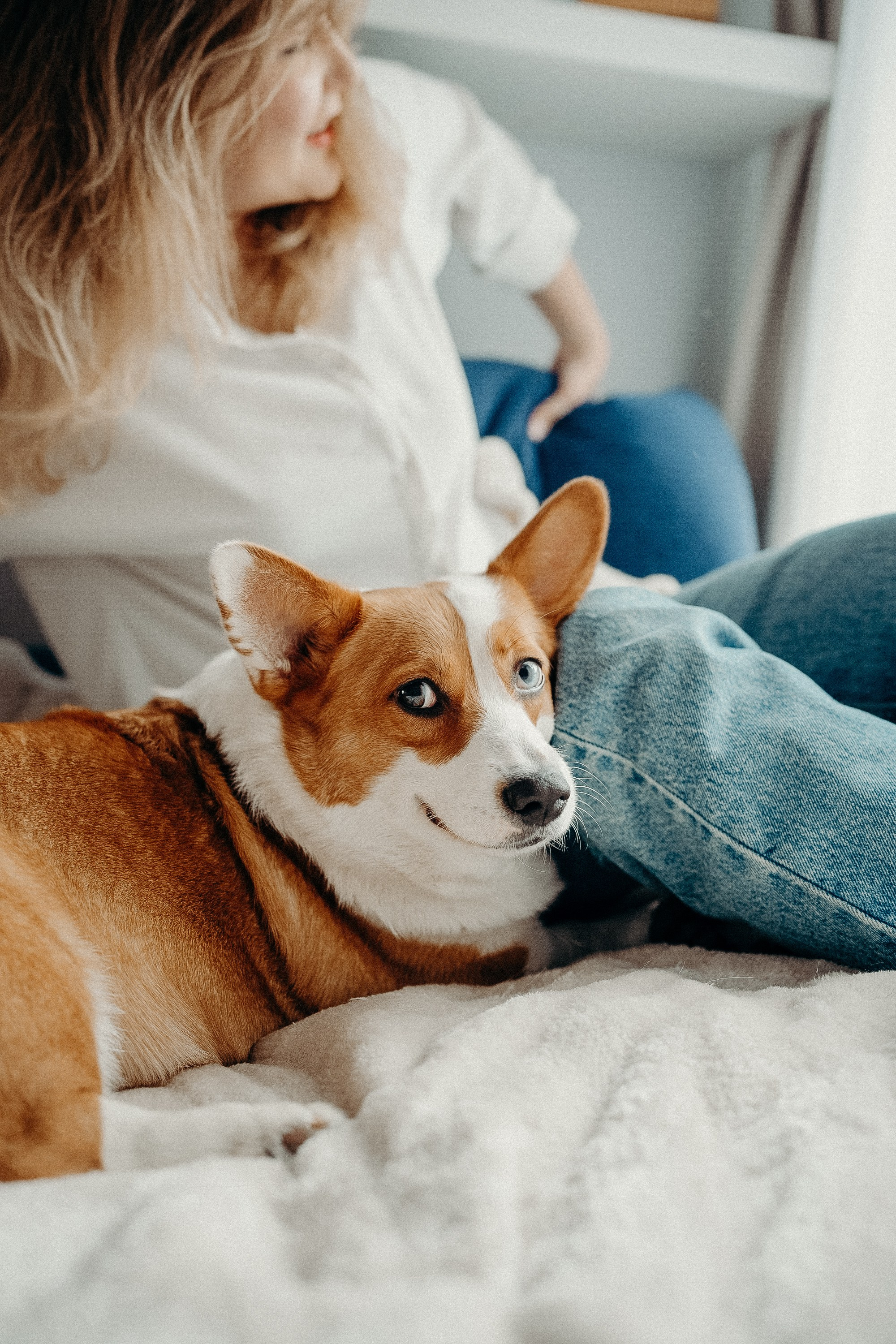 Photos of a little corgi and her owner. Portrait and wedding photographer in New York