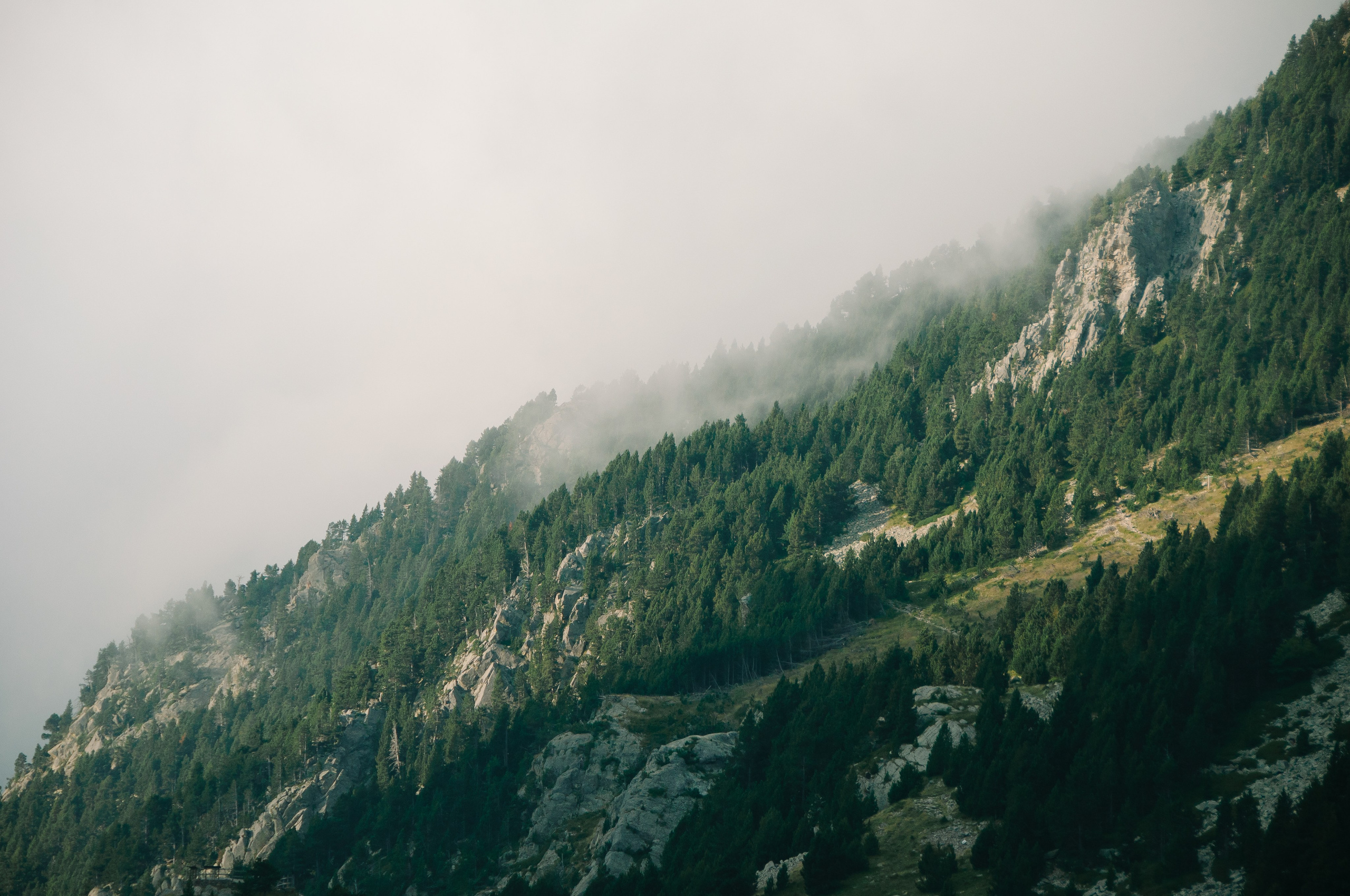 Galeria. Creador de contenido visual en Barcelona | Dima Kit