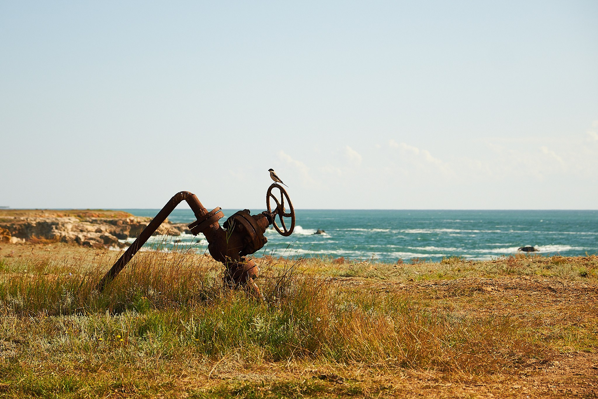 Tyulenovo, Bulgaria. Pagina principală