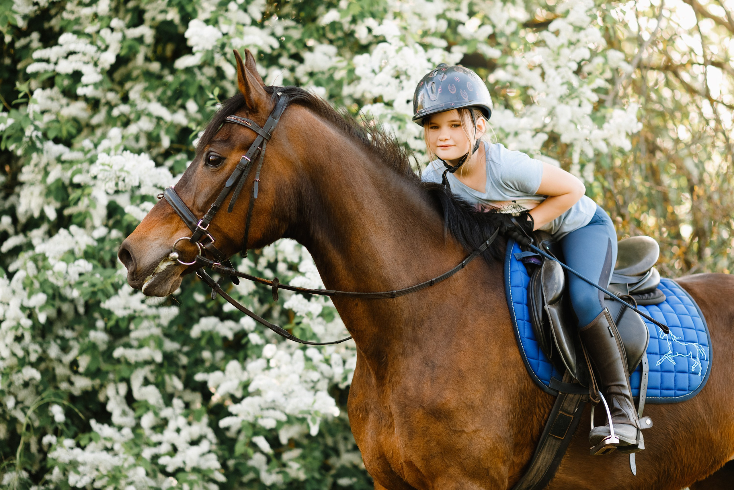 Girls & horses, summer. Kaja | fotograf psów we Wrocławiu