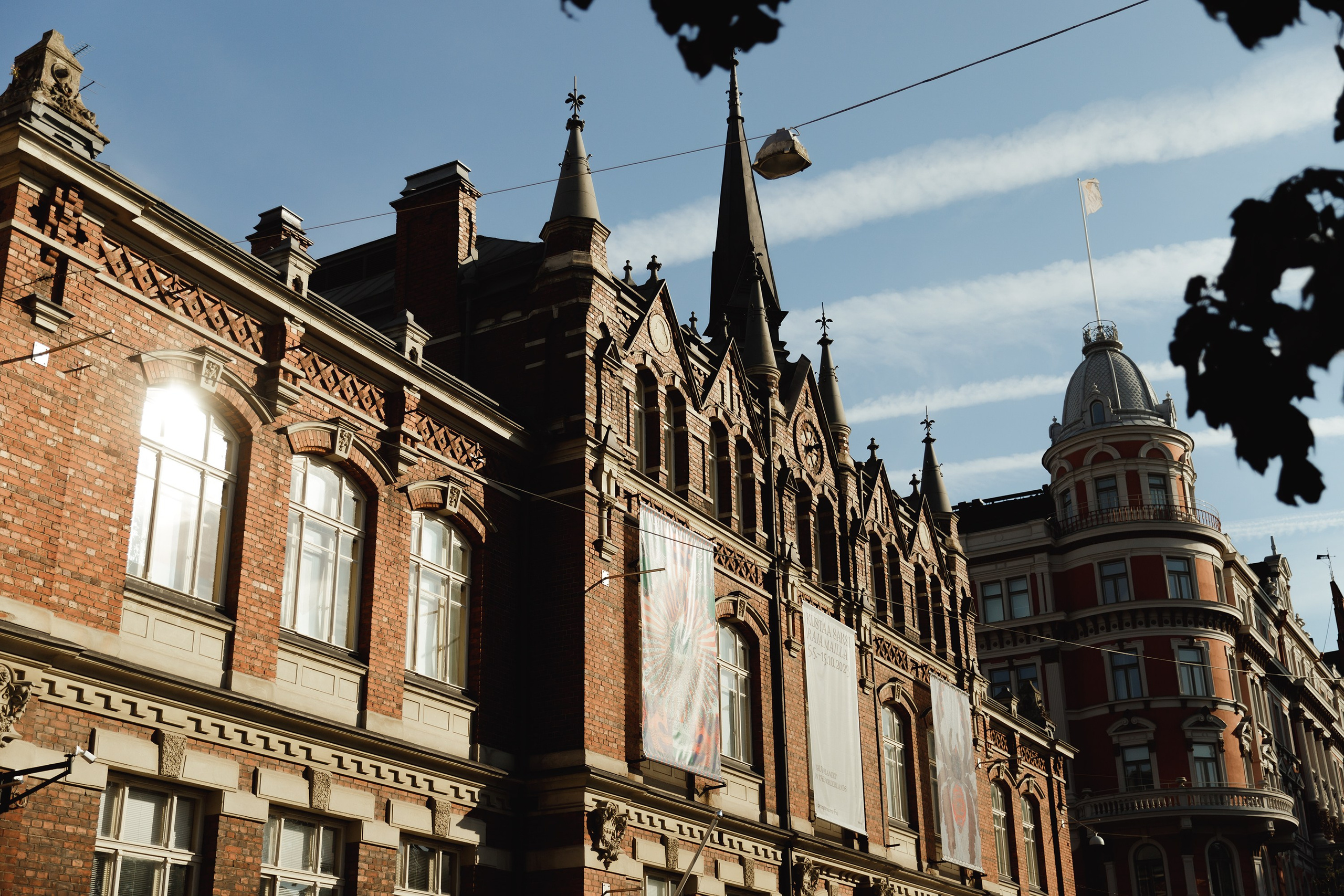 Helsinki. Kaja | fotograf psów we Wrocławiu