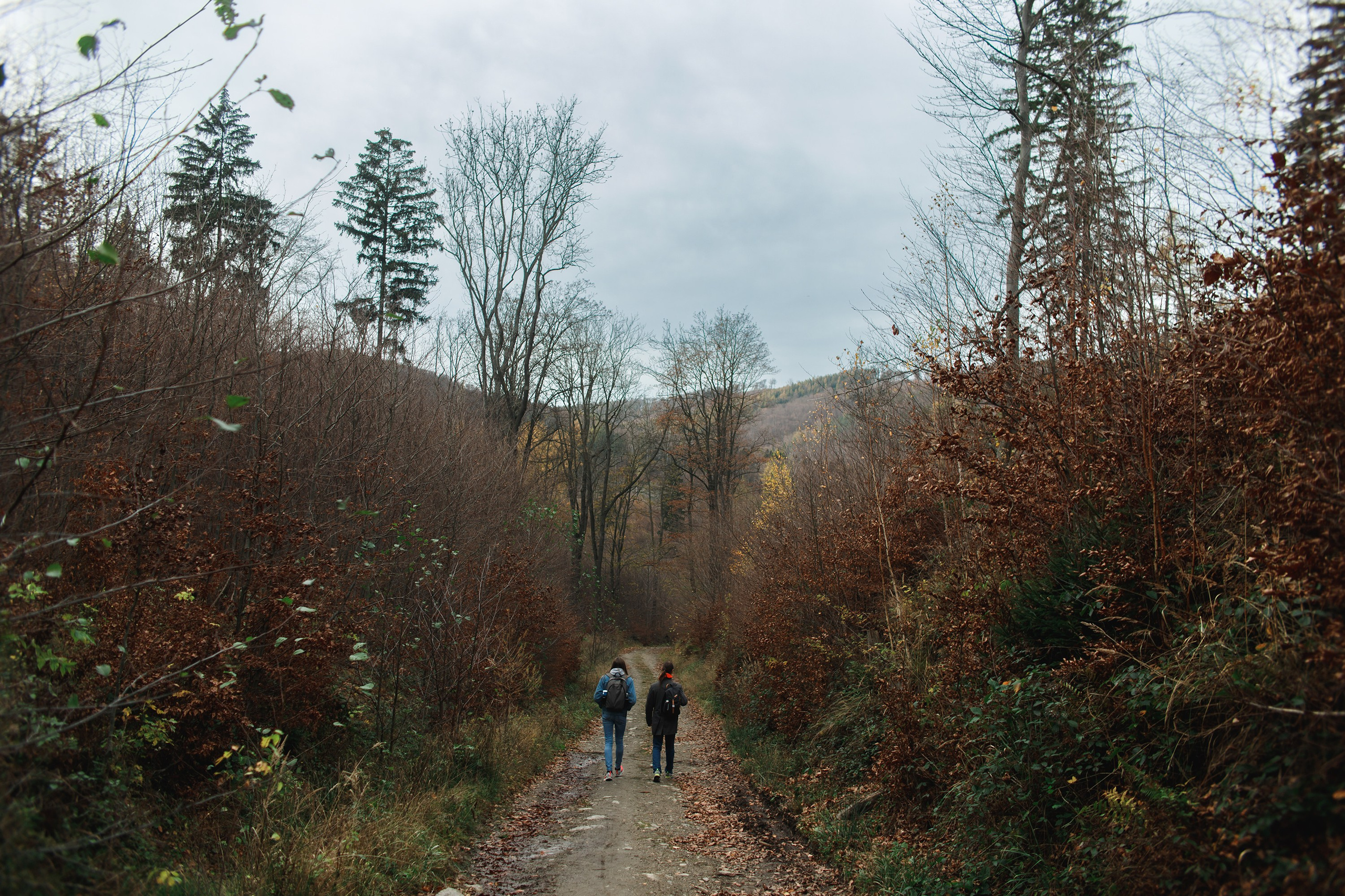 Sowie góry. Kaja | fotograf we Wrocławiu | ludzie i psy