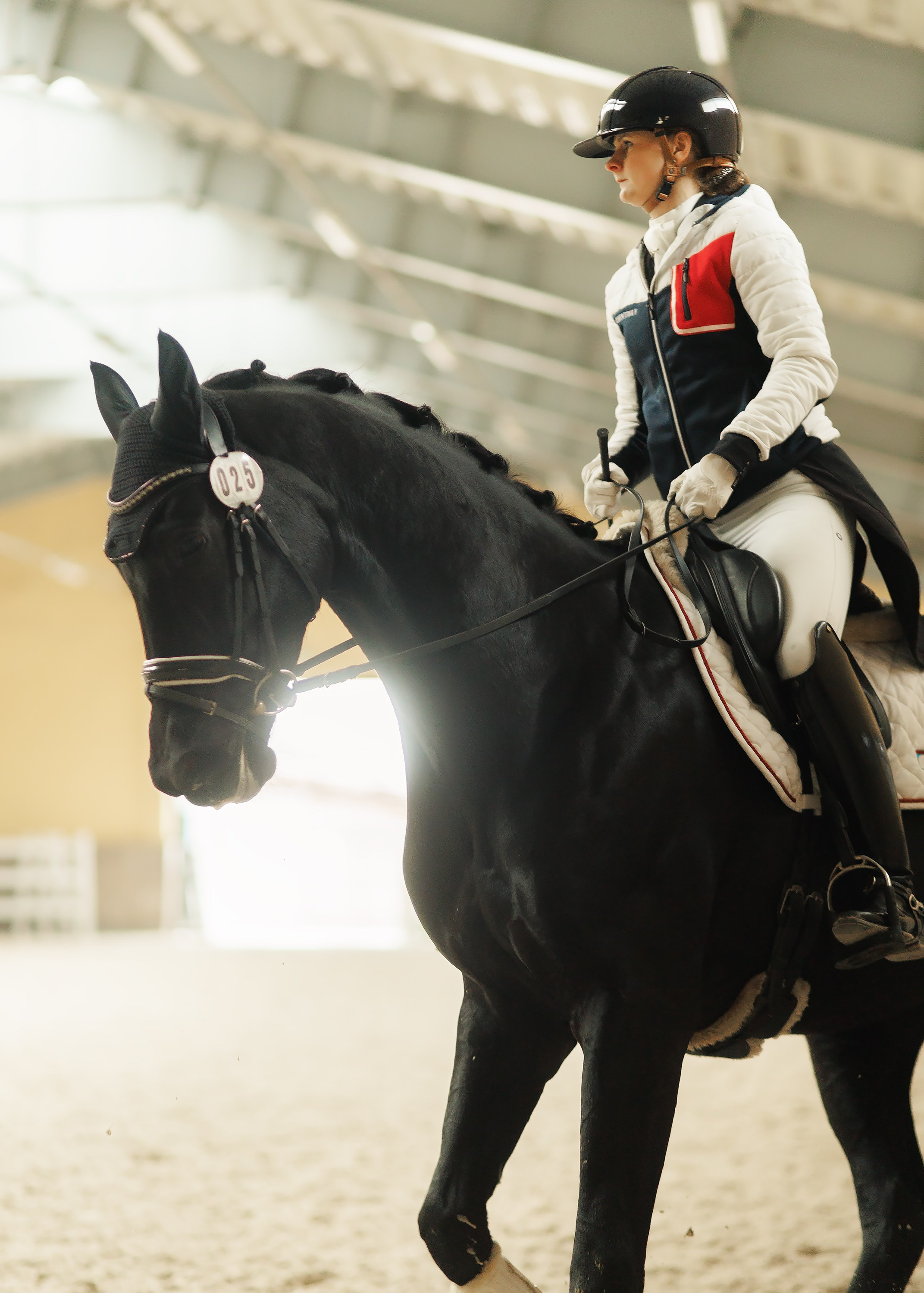 Partynice dressage \ feb'25. Kaja | fotograf we Wrocławiu | ludzie i psy