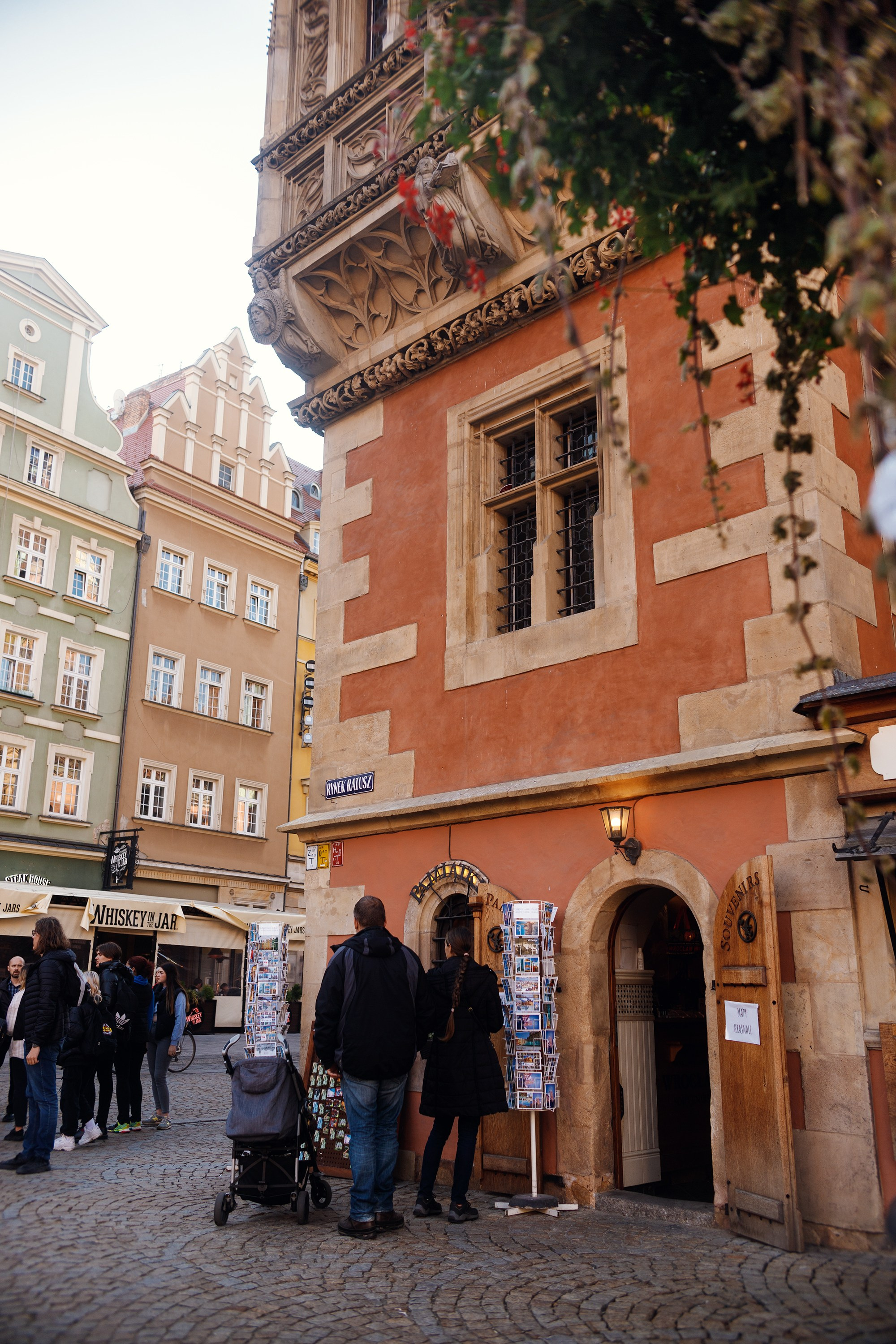 Wroclaw | the best ones. Kaja | fotograf psów we Wrocławiu