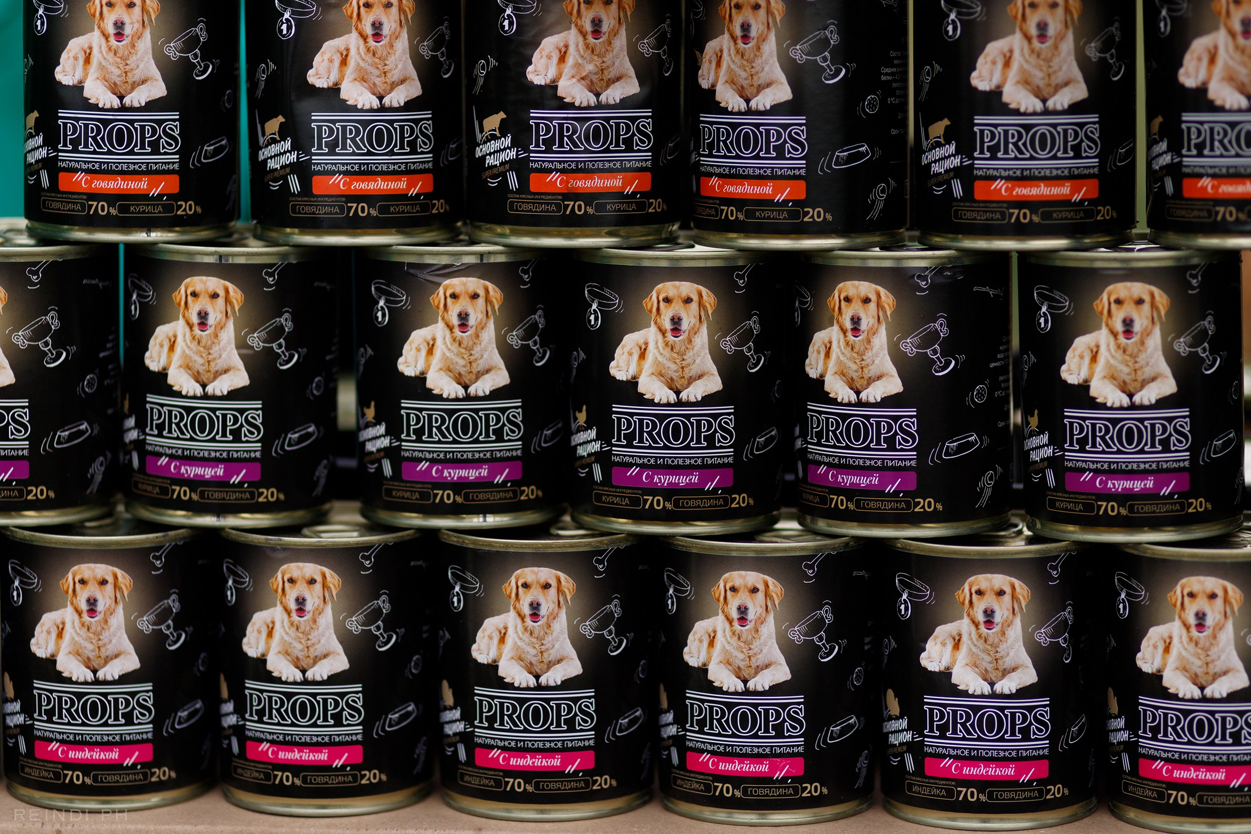 Dog frisbee championship | summer. Kaja | fotograf we Wrocławiu | ludzie i psy