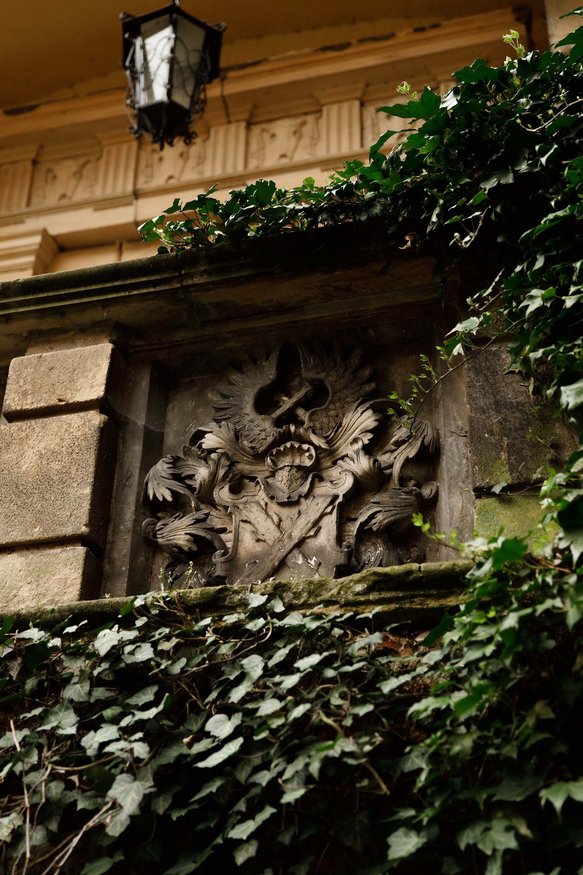 Oleśnica castle. Kaja | fotograf psów we Wrocławiu