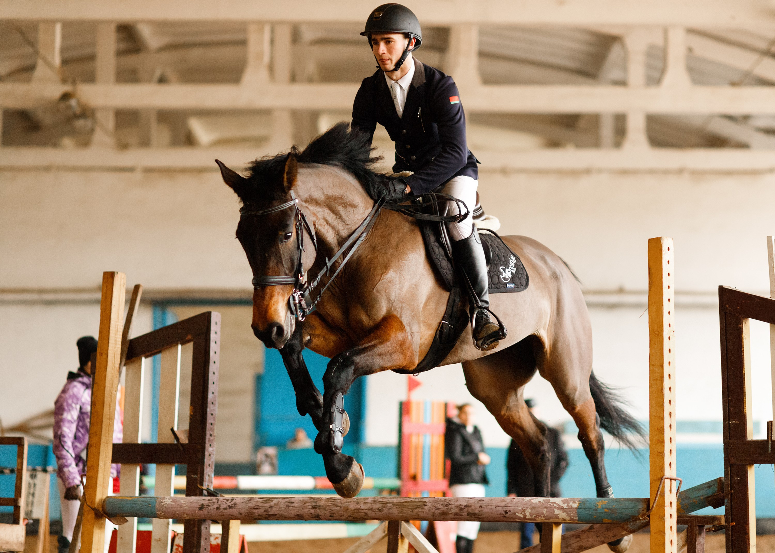 Winter show jumping in «Progress». Kaja | fotograf we Wrocławiu | ludzie i psy