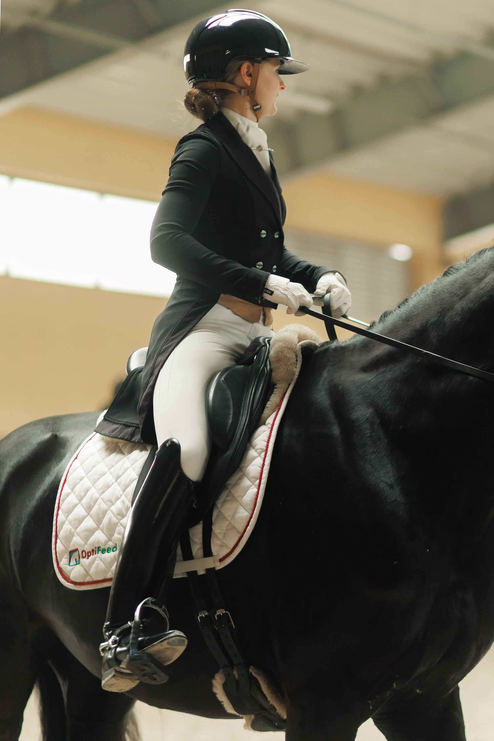 Fotografia koni Wrocław \ ujeżdżenie, Partynice. Kaja | fotograf we Wrocławiu | ludzie i psy