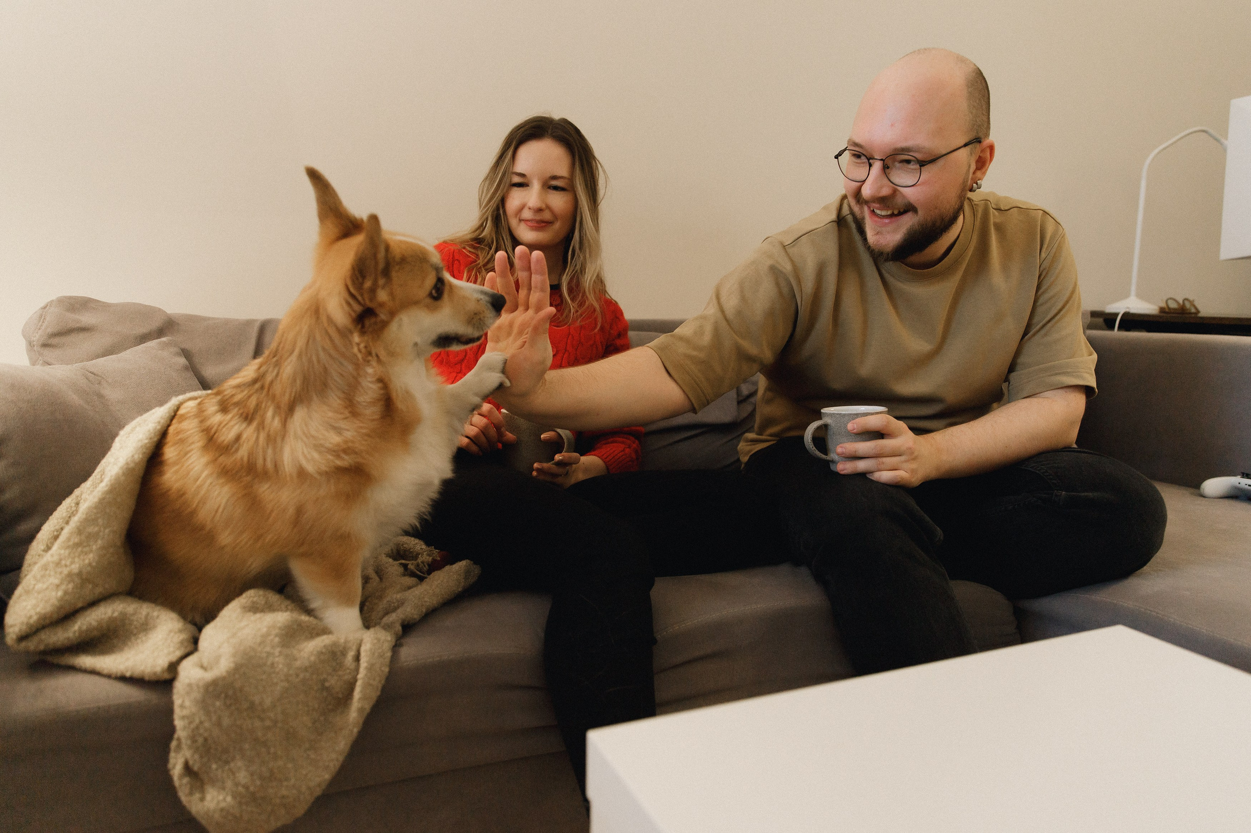 Dasha & Daisy. Kaja | fotograf psów we Wrocławiu
