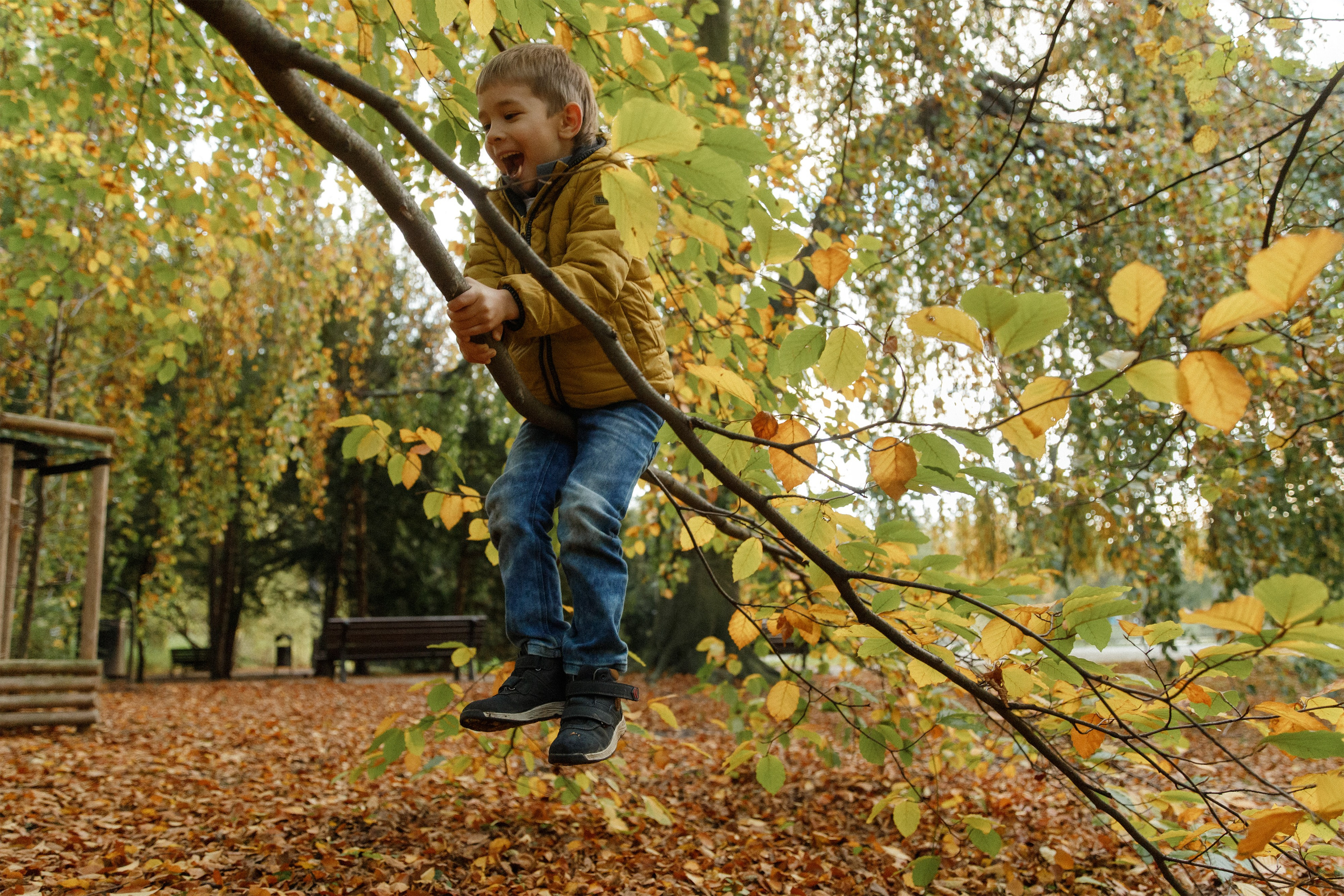 Tatiana & Adam. Kaja | fotograf psów we Wrocławiu