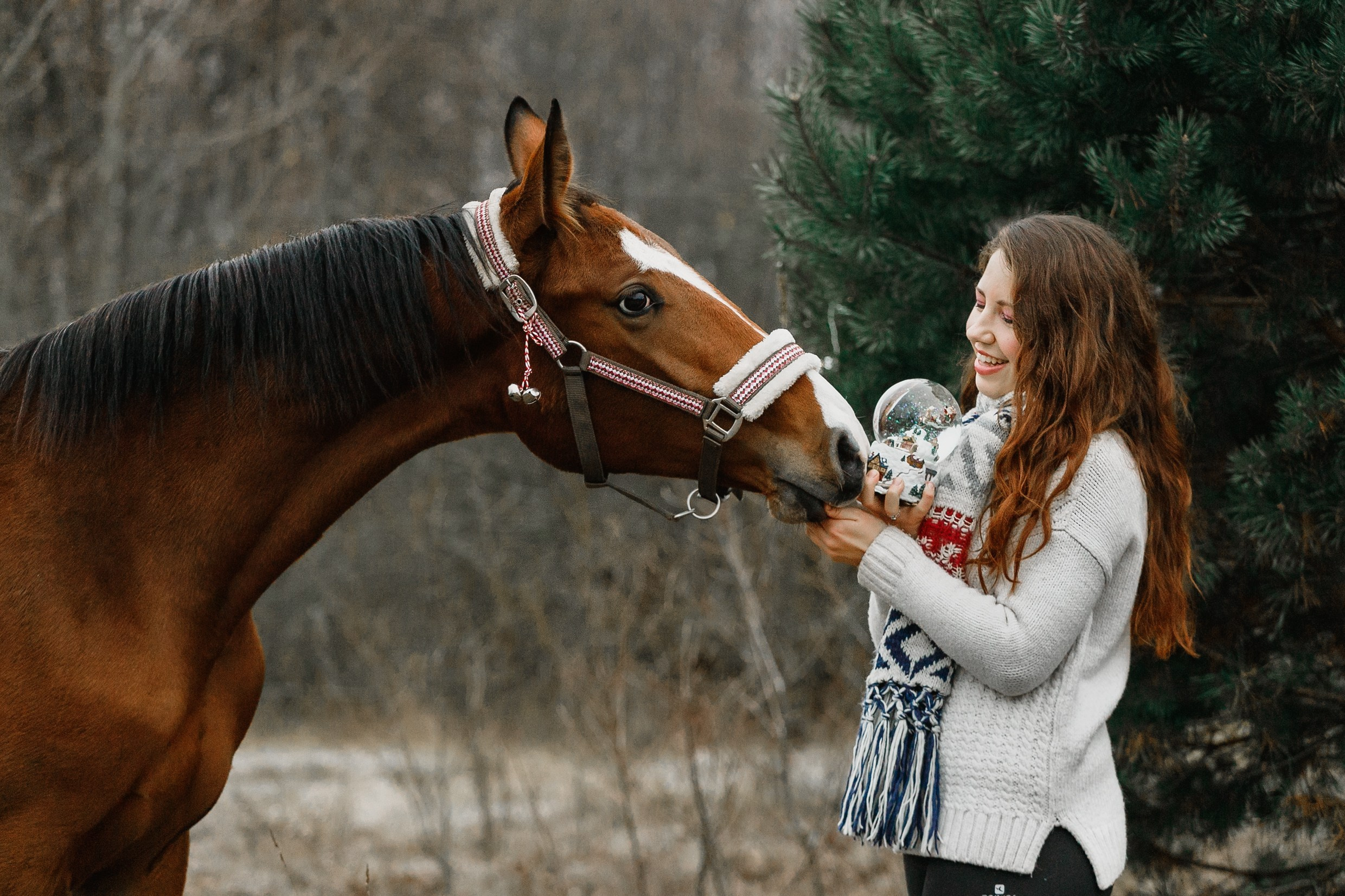 Aibike | winter. Kaja | fotograf psów we Wrocławiu