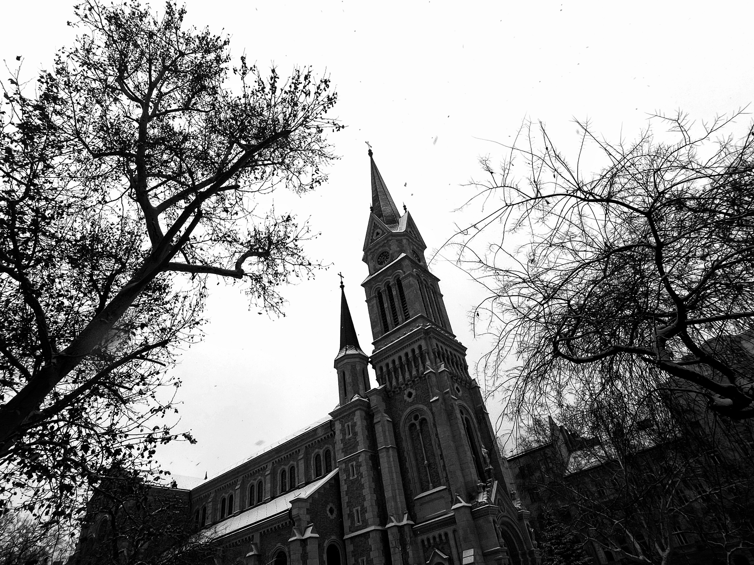 Budapest-ferencvárosi Assisi Szent Ferenc-plébániatemplom | Budapest 2026 | IPHONE 12 PRO