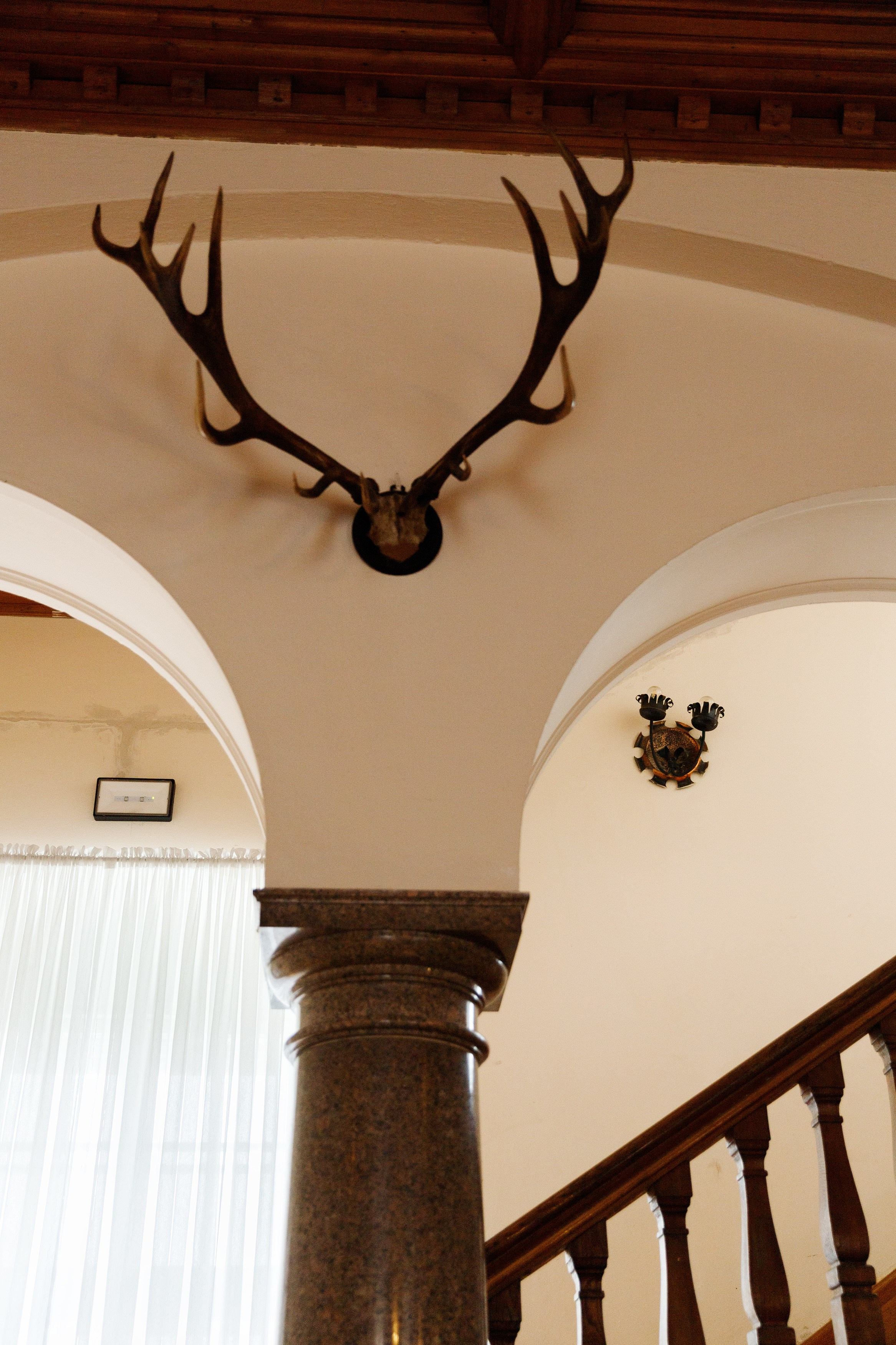 Oleśnica castle. Kaja | fotograf psów we Wrocławiu