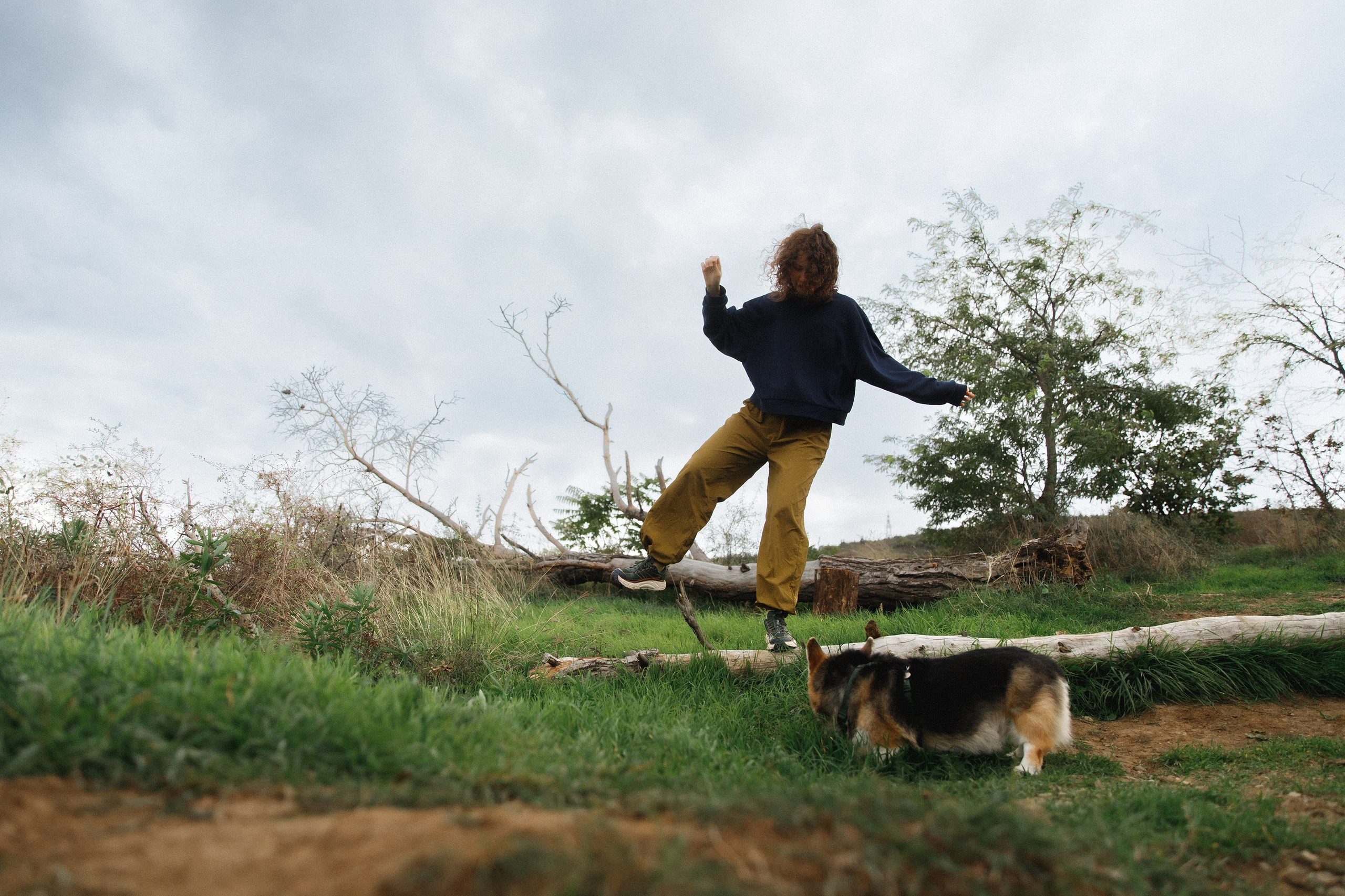 Sasha & Leonid. Kaja | fotograf psów we Wrocławiu