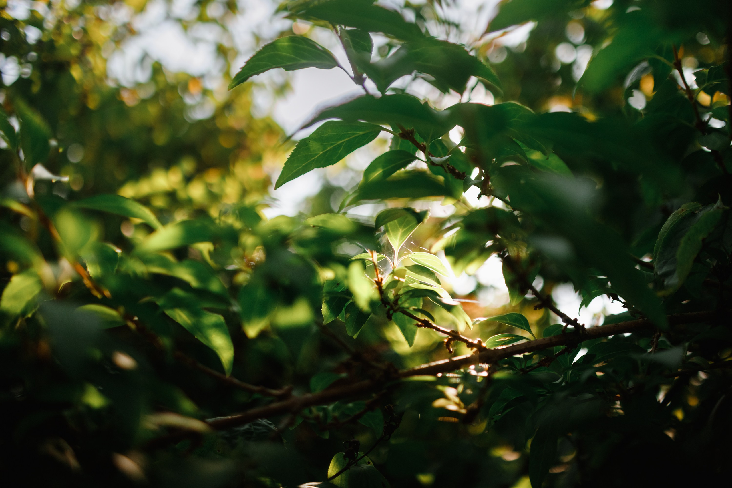 One small village in Grodno region. Kaja | fotograf we Wrocławiu | ludzie i psy