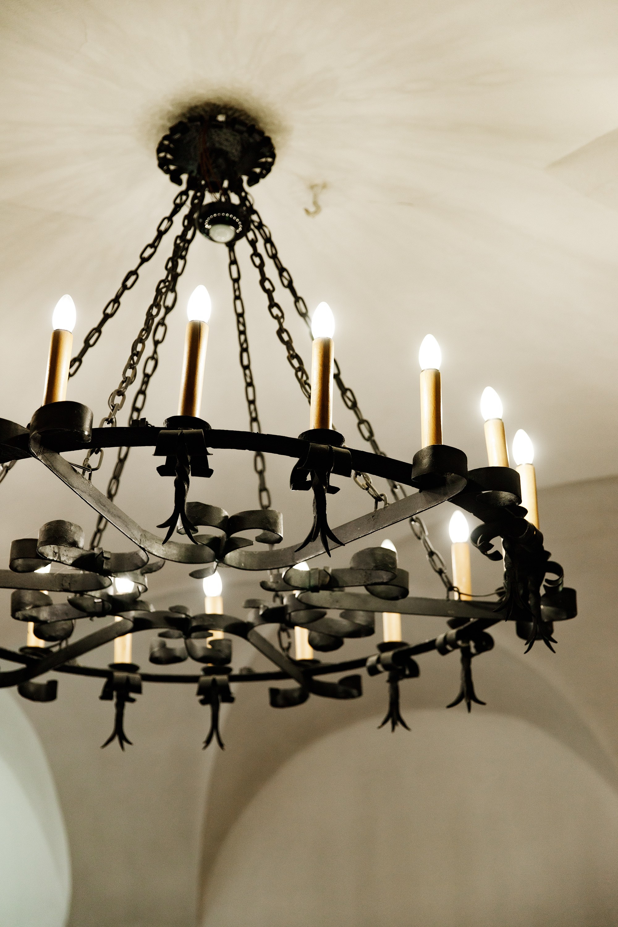 Oleśnica castle. Kaja | fotograf psów we Wrocławiu