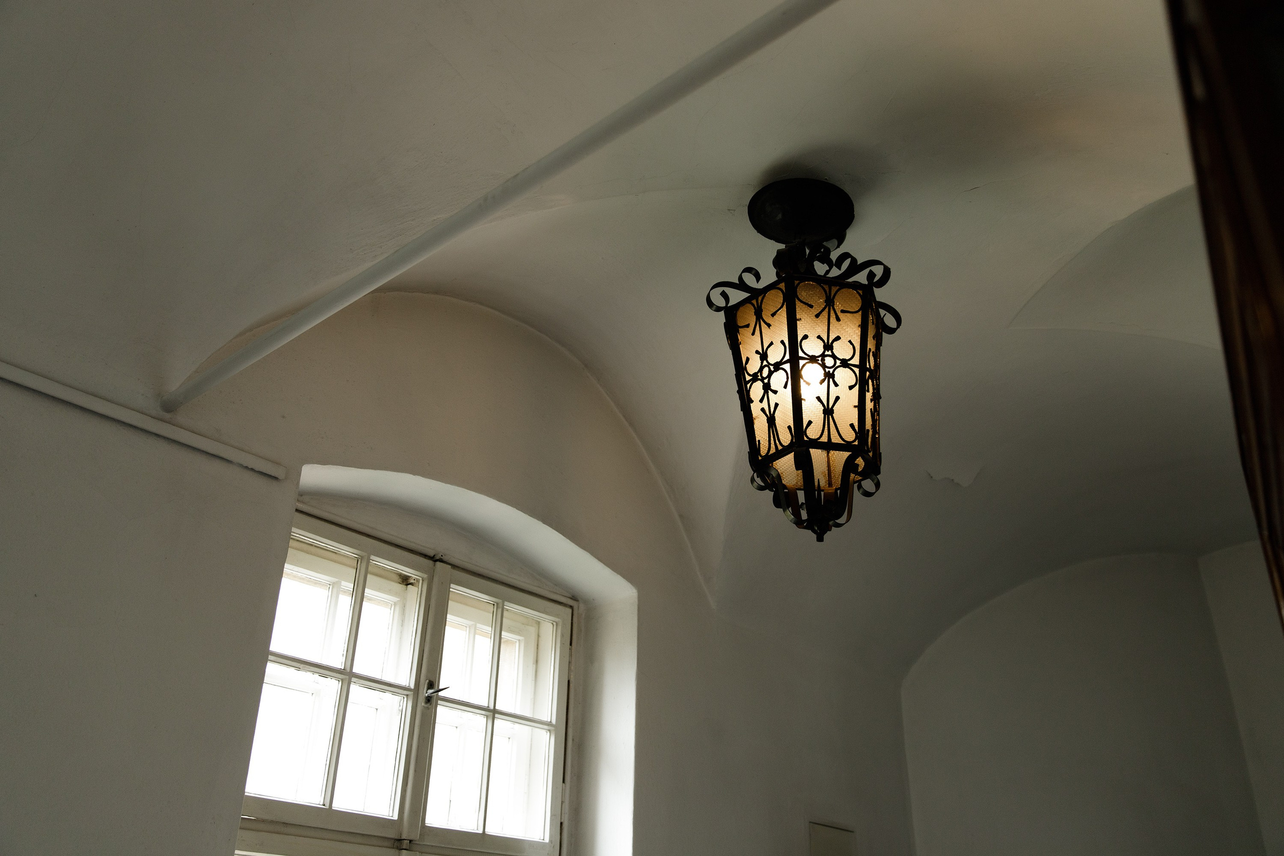 Oleśnica castle. Kaja | fotograf psów we Wrocławiu