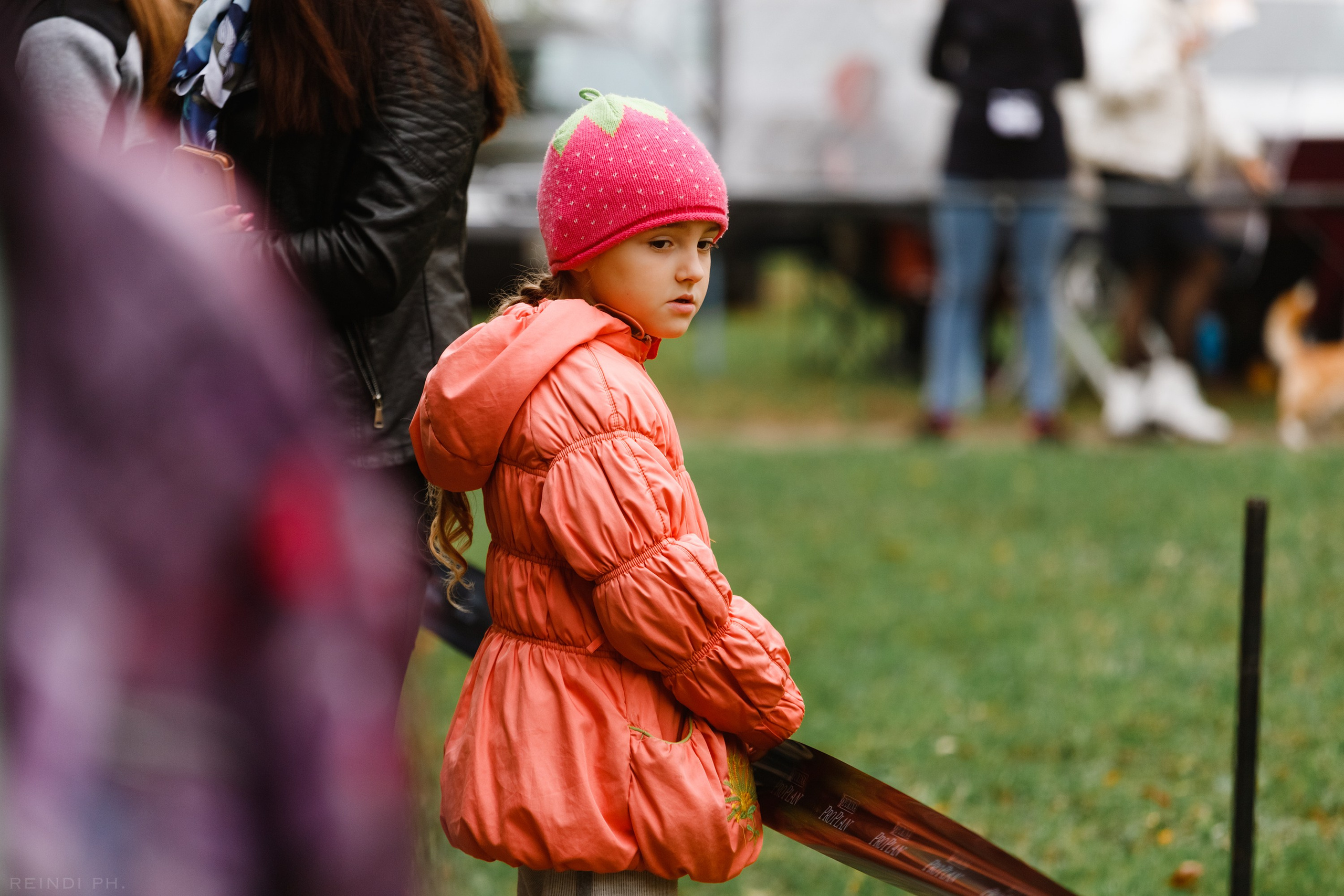 «Argus» dog show in Brest. Kaja | fotograf we Wrocławiu | ludzie i psy