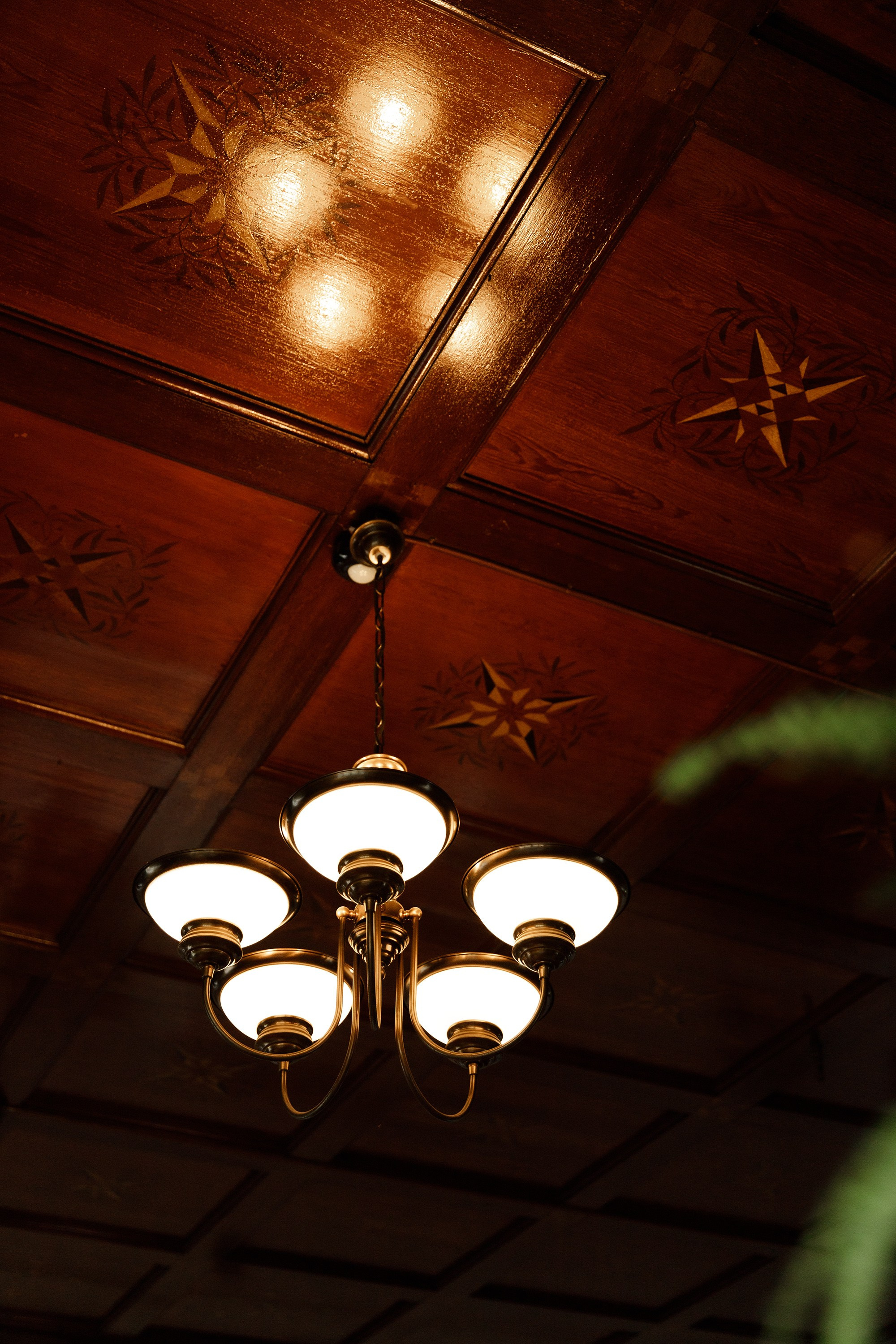 Oleśnica castle. Kaja | fotograf psów we Wrocławiu