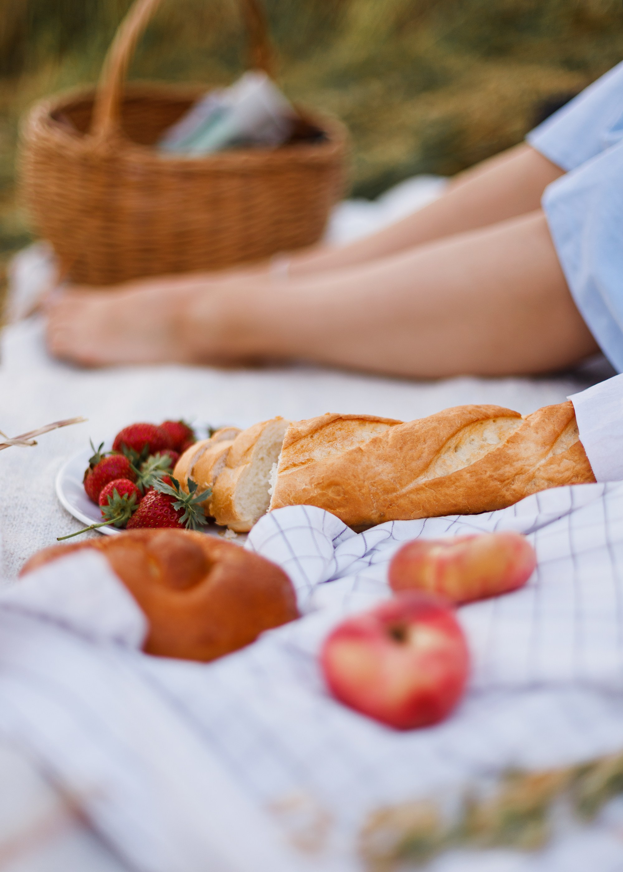 Katya | tenderness in the field. Kaja | fotograf psów we Wrocławiu