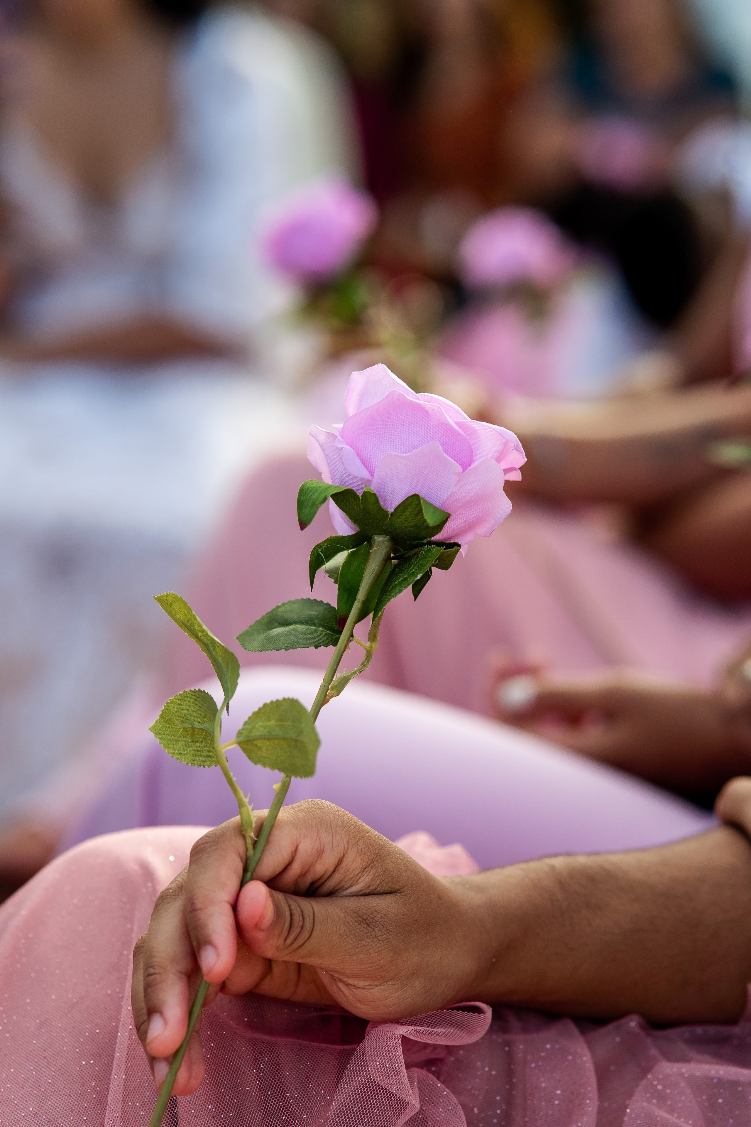 Casamento - Elô & Gui