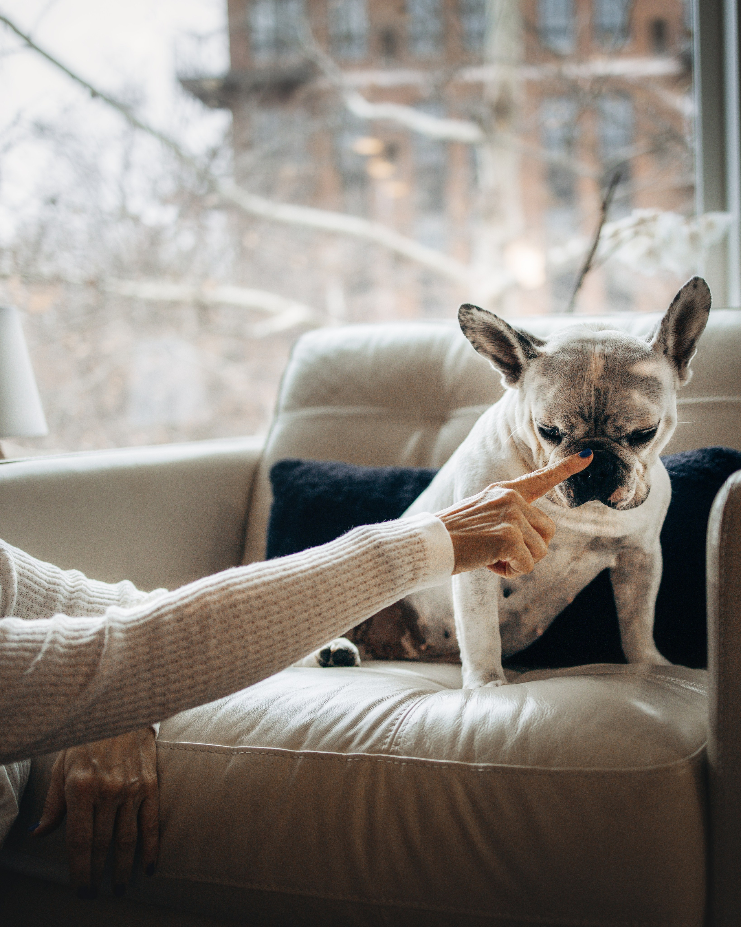 Pearl & Melanie. Pet Photographer Viktoriya Aleshenko