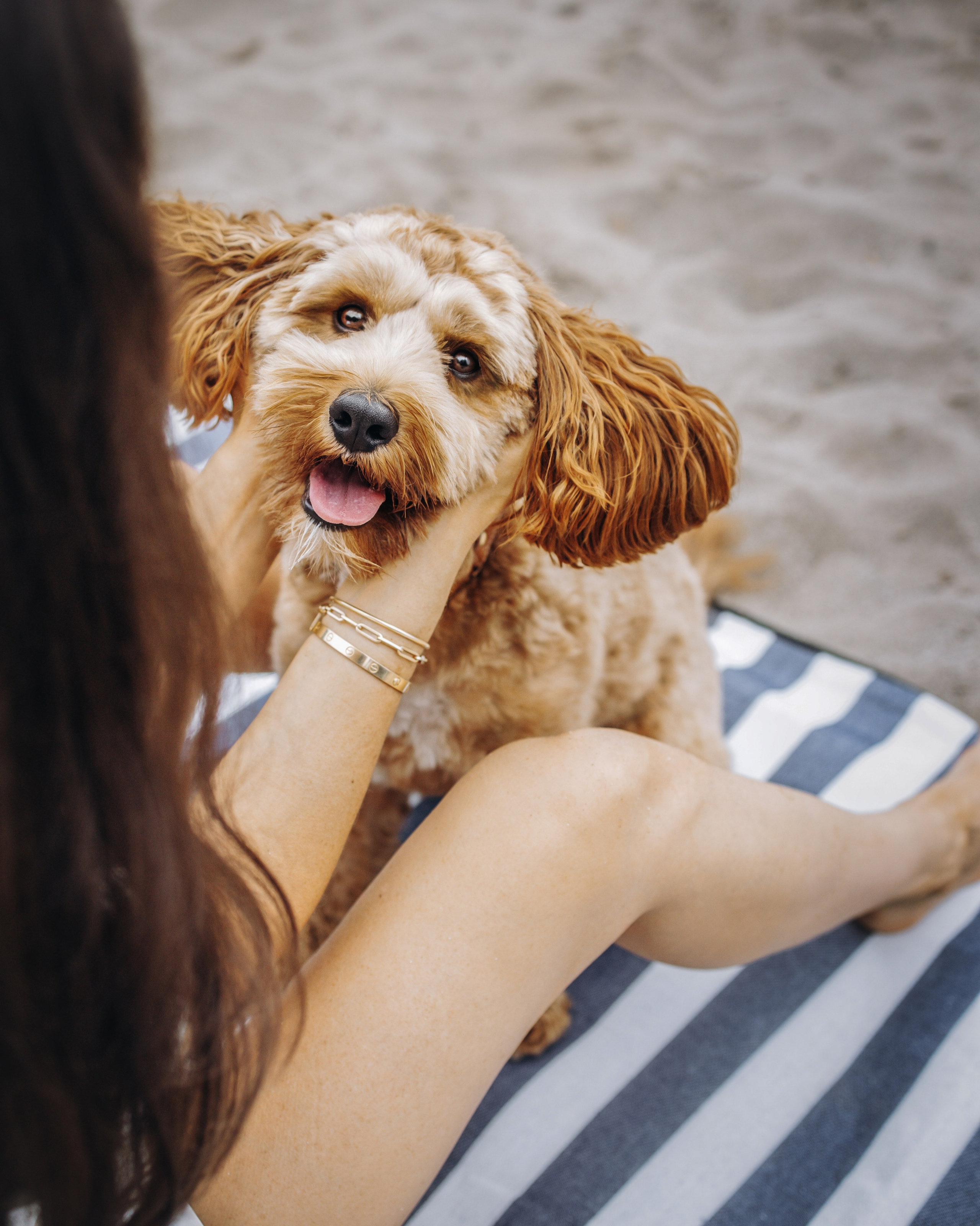 Howie & Callie. Pet Photographer Viktoriya Aleshenko