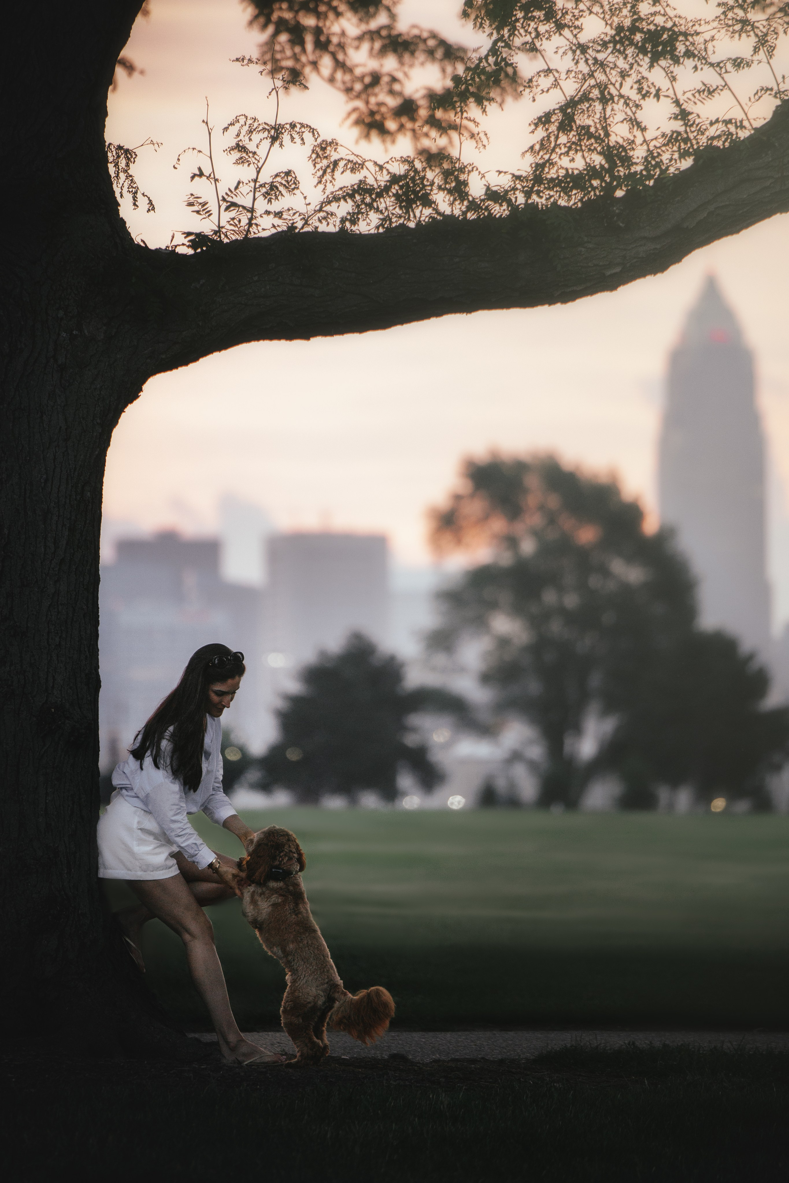 Howie & Callie. Pet Photographer Viktoriya Aleshenko