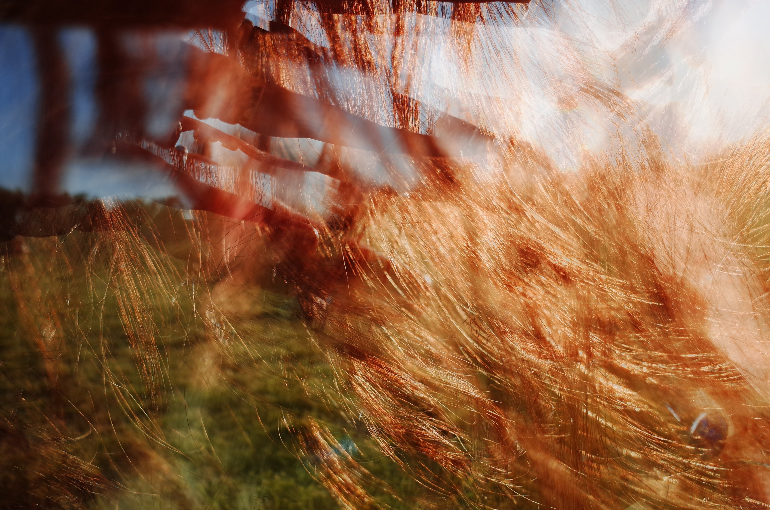 Victoria Dini. Art photography in London / Folkestone, UK