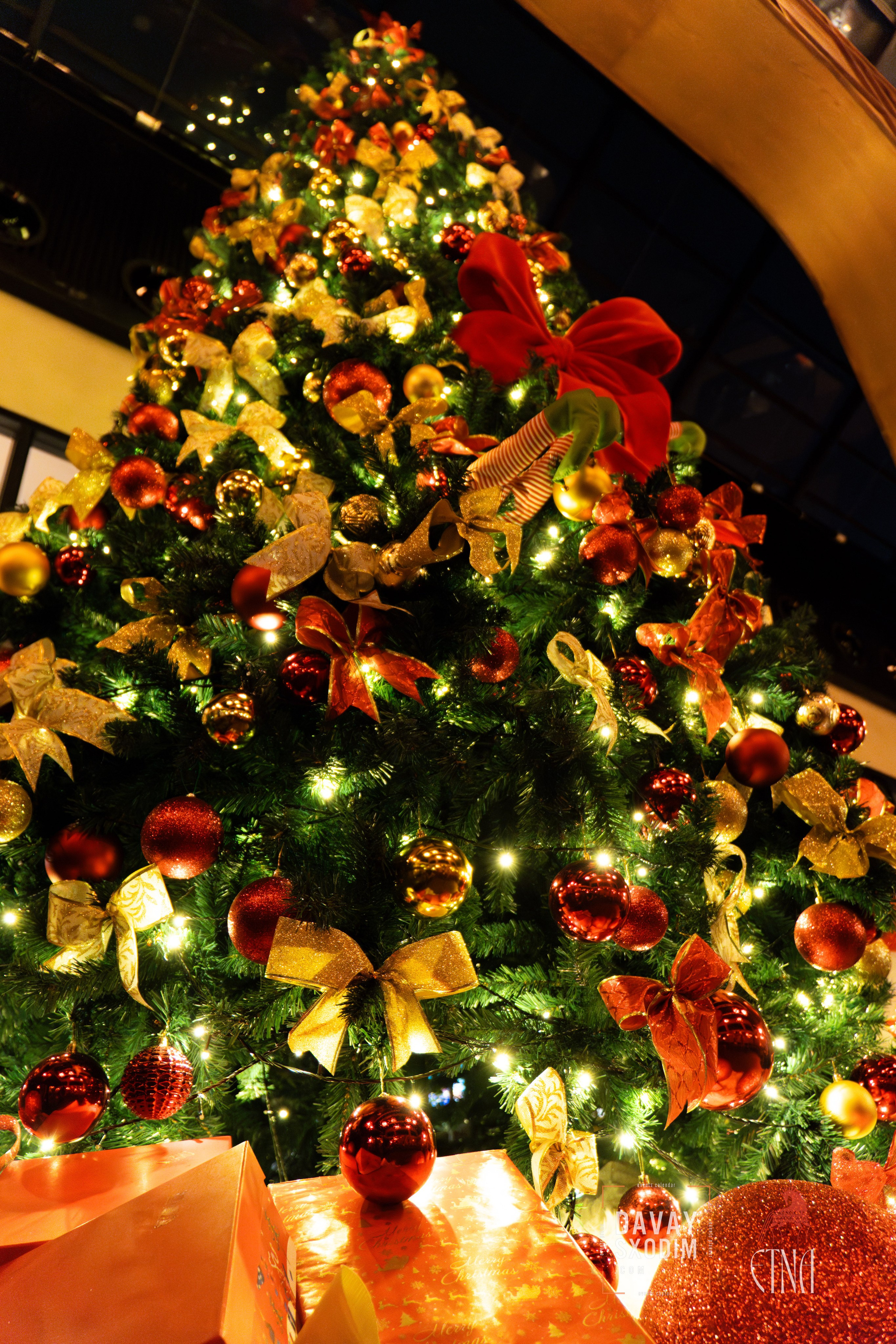 Новогодняя вечеринка | Фоторепортаж | Афиша | DAVAYSXODIM.com PHUKET. АФИША|ФОТОРЕПОРТАЖИ|ИВЕНТЫ|ПХУКЕТ