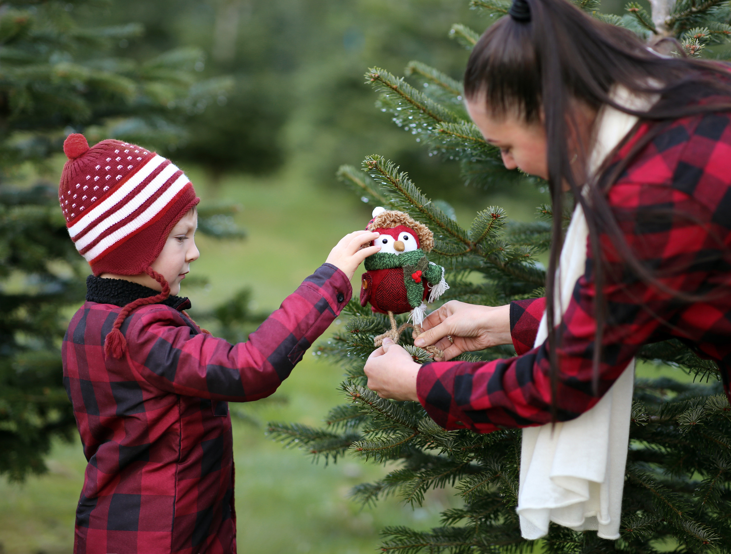Winter. YuAnna studio. Family & Kids Photographer in Seattle area, located in