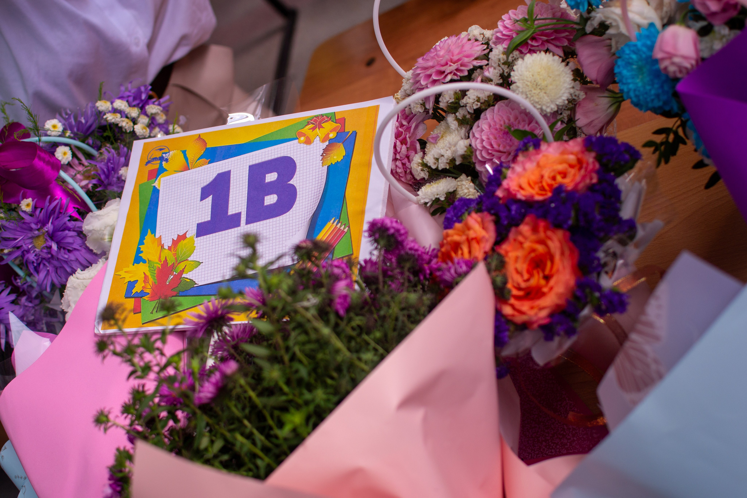 Первый класс. Фотограф новорожденных в Темиртау и Караганде Любовь Жукова newborn