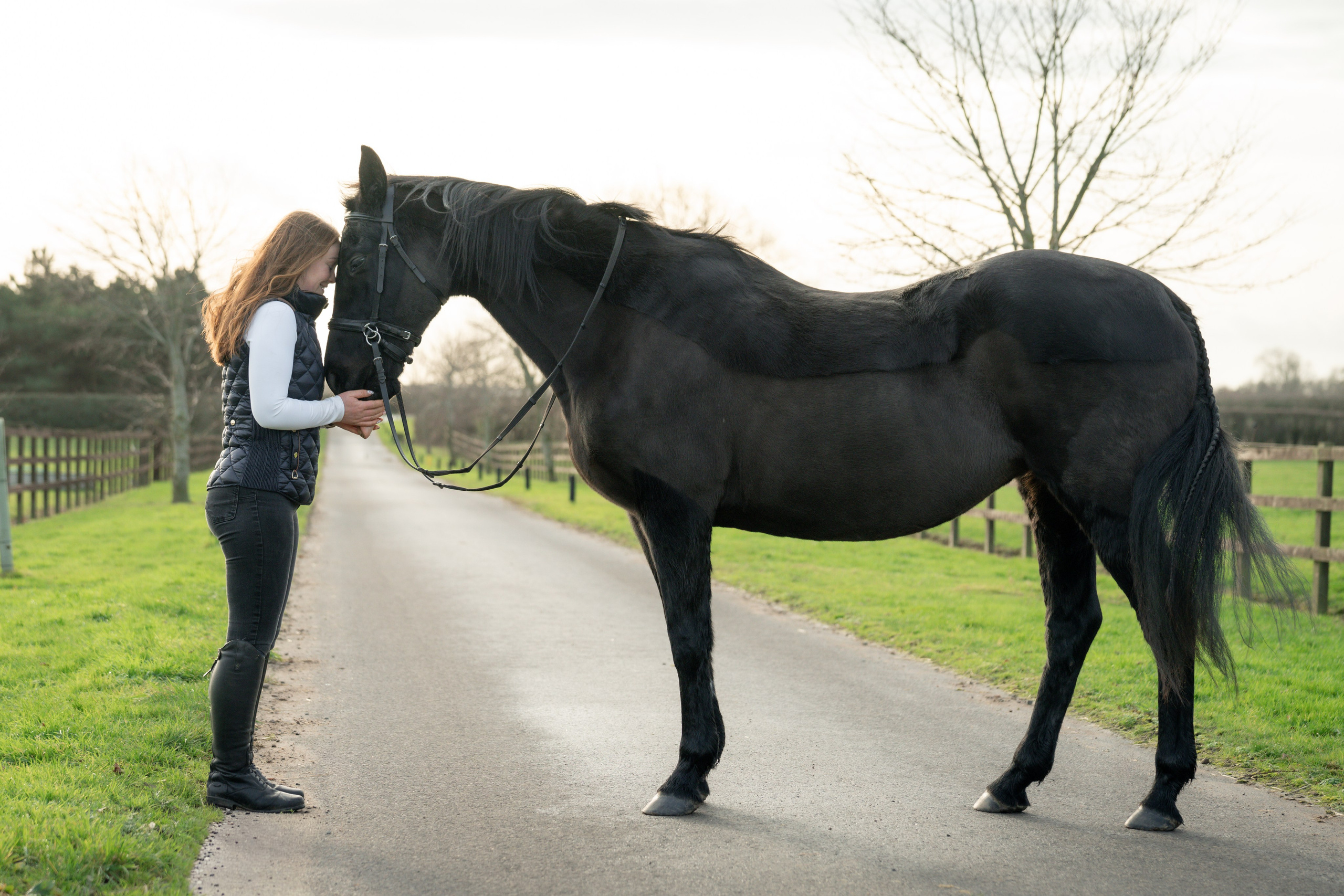 Equine Photography Portfolio | Leicestershire Horse Portrait Photographer. Leicestershire Equine Photography by El | Authentic Equine Portraits & Events