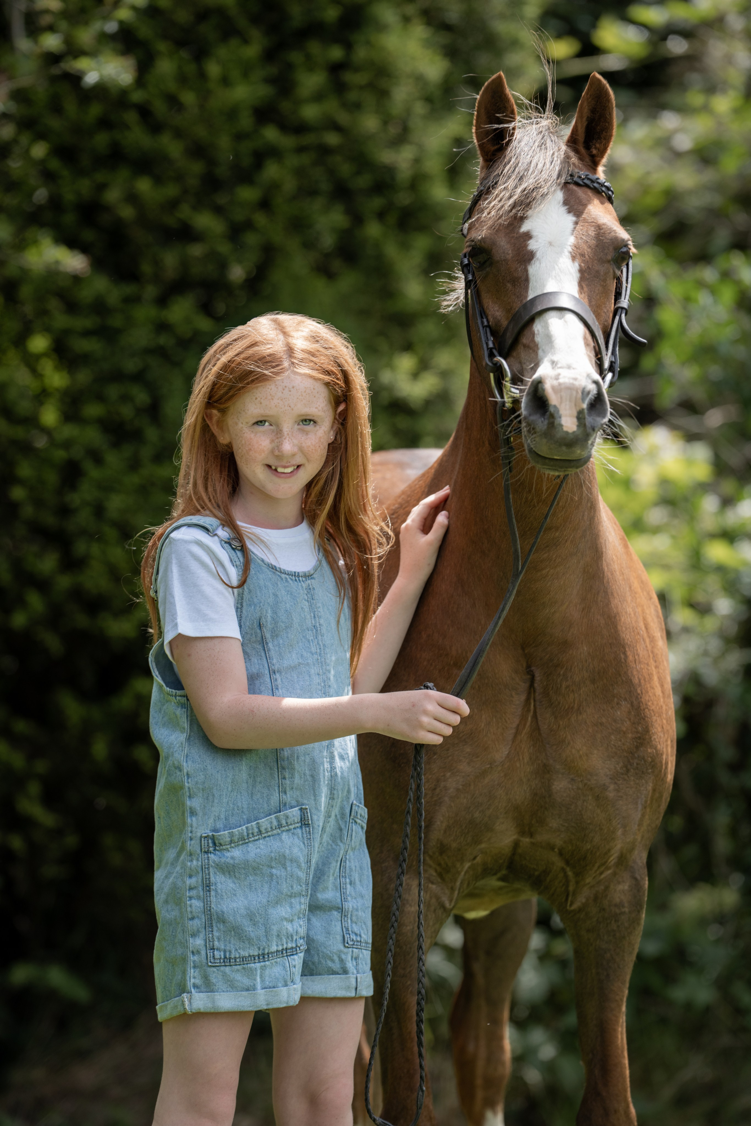 Equine Photography Portfolio | Leicestershire Horse Portrait Photographer. Leicestershire Equine Photography by El | Authentic Equine Portraits & Events
