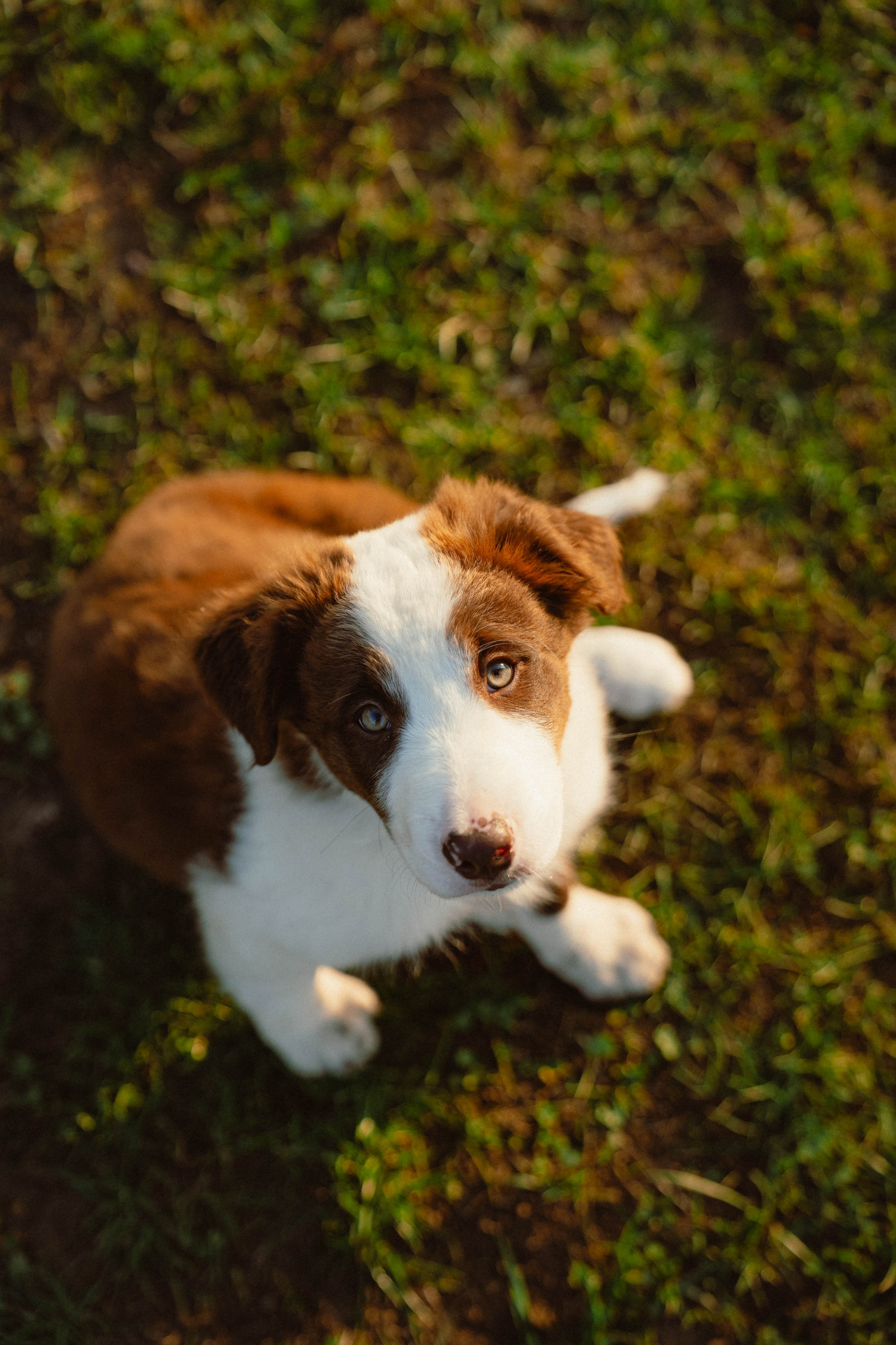 Victoria & Mehdi. Weeding photographer / event / portrait