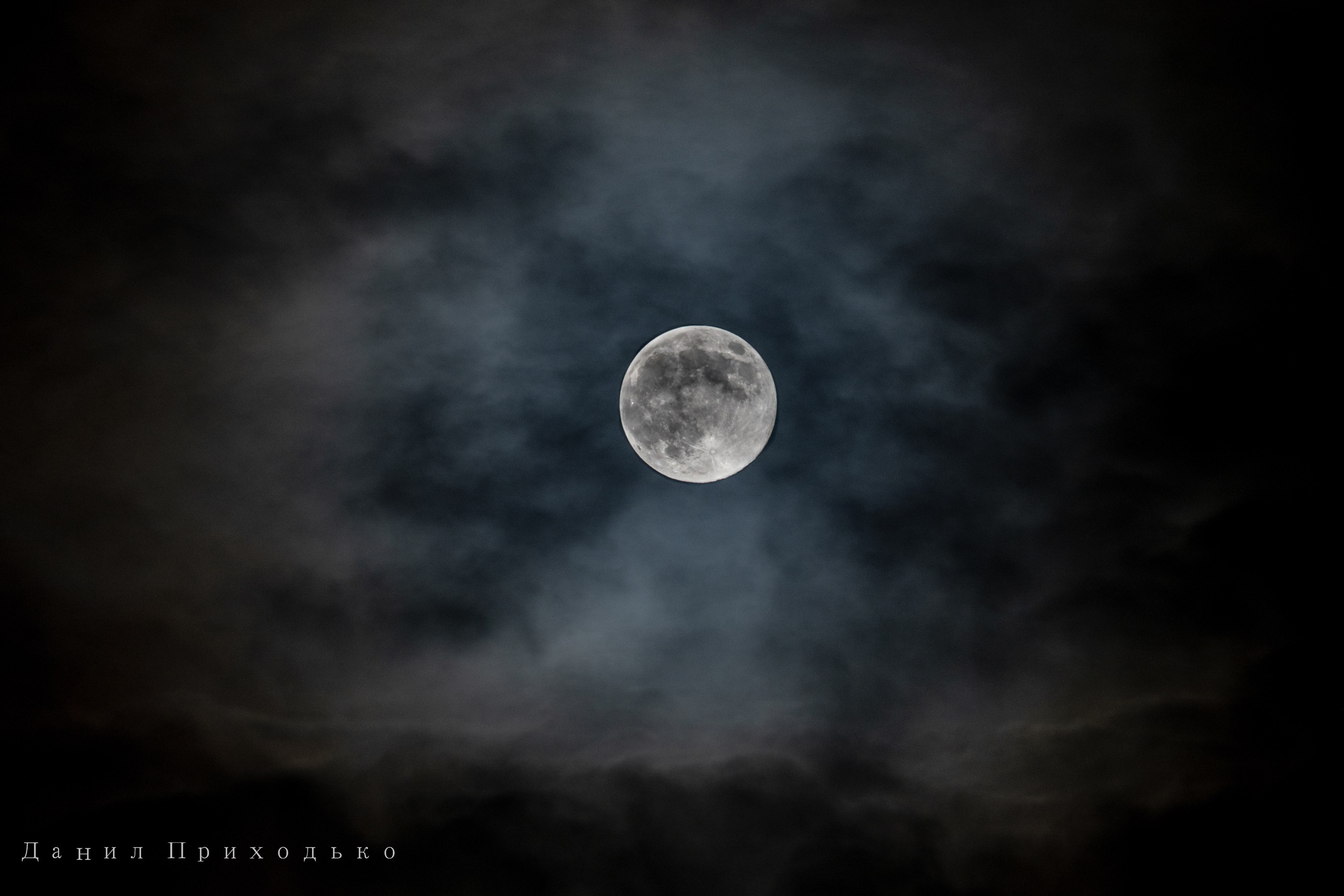 Danil Prikhodko Photography