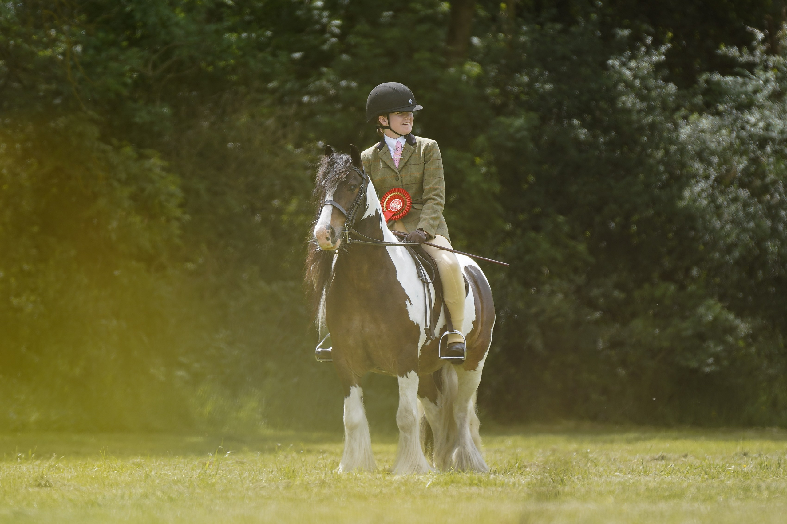 Showing. Leicestershire Equine Photography by El | Authentic Equine Portraits & Events
