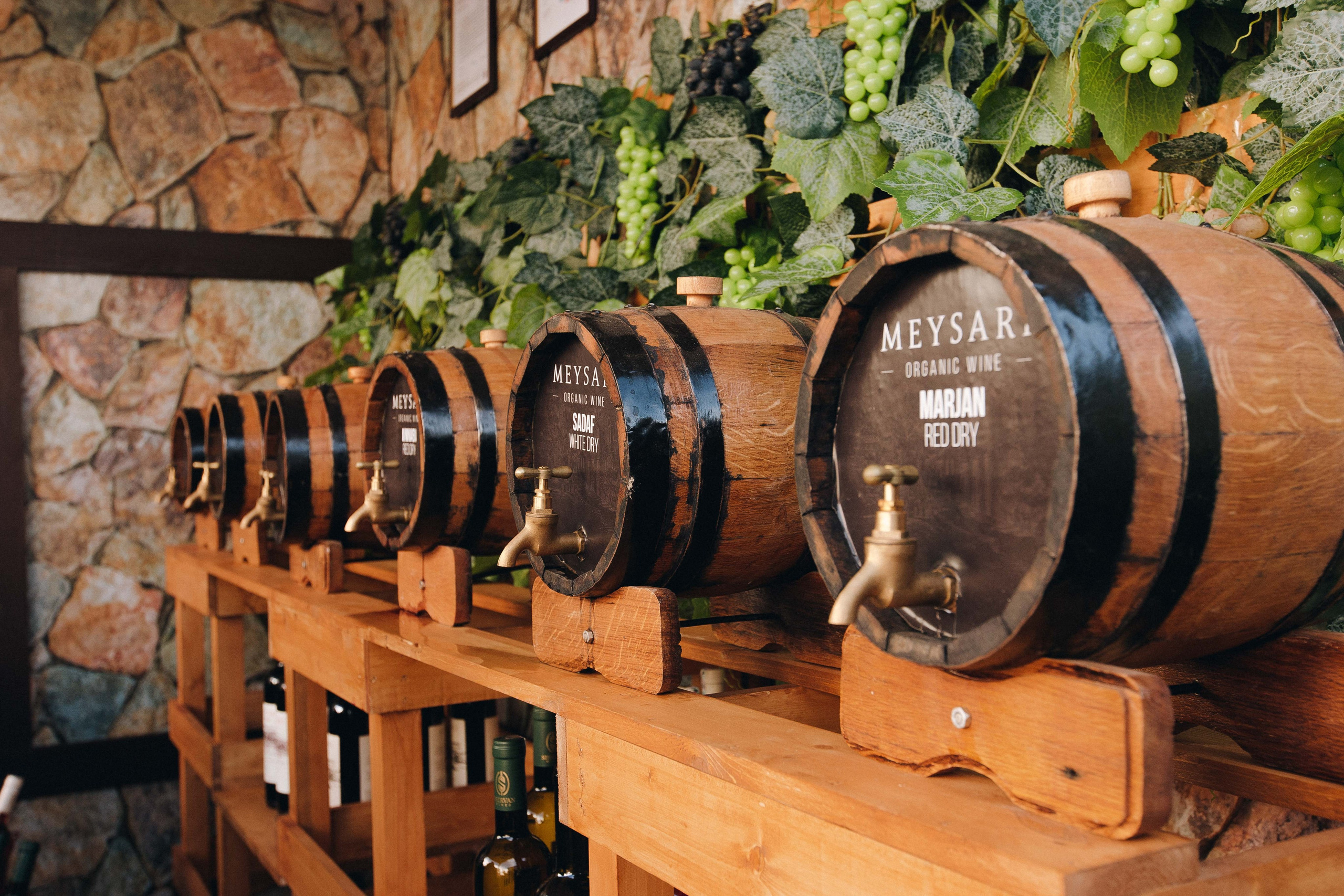 MEYSARI WINE FESTIVAL. Wedding&Event photographer Ismail Rzayev in Baku