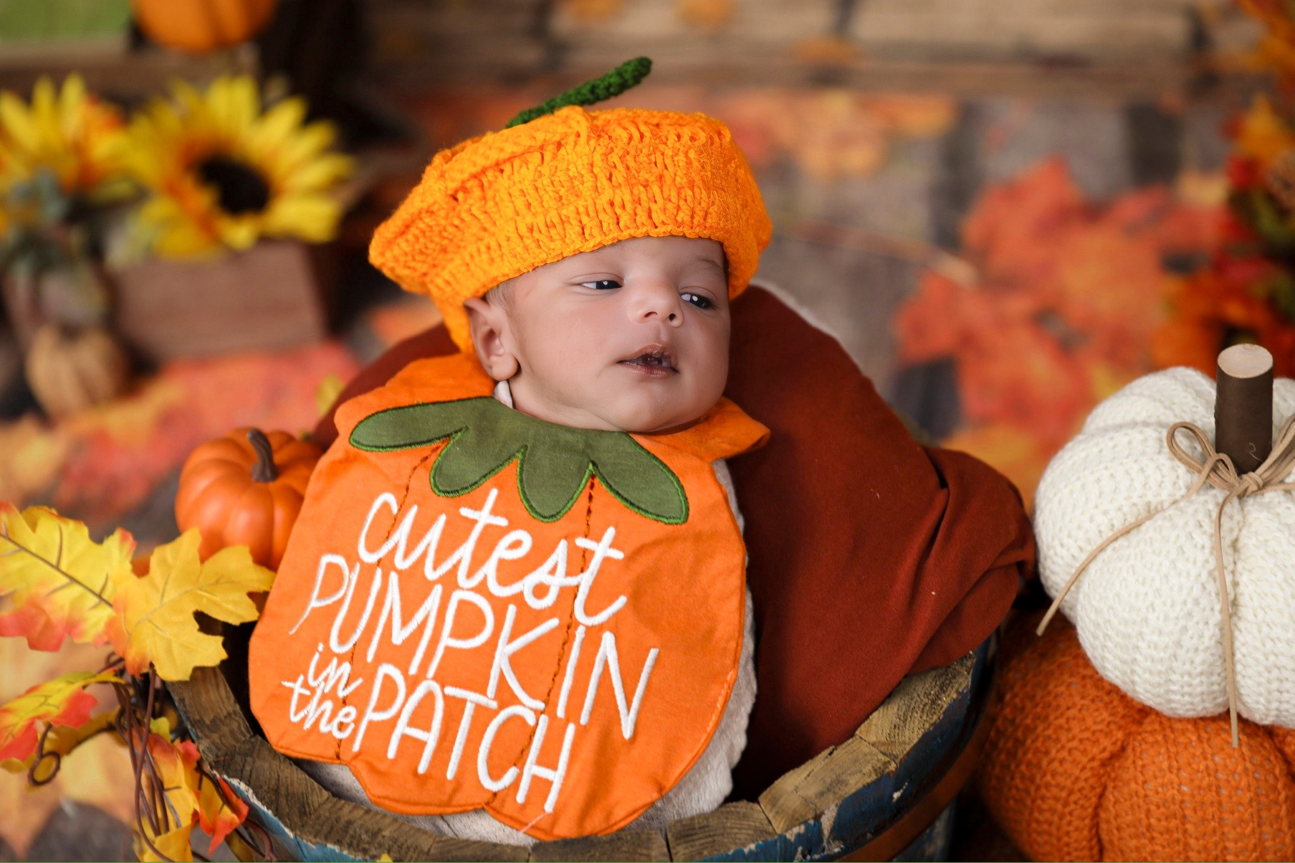 Fall and Halloween. AP Lens Photography | Newborn, Maternity, Milestone & Family Photographer Little Elm TX