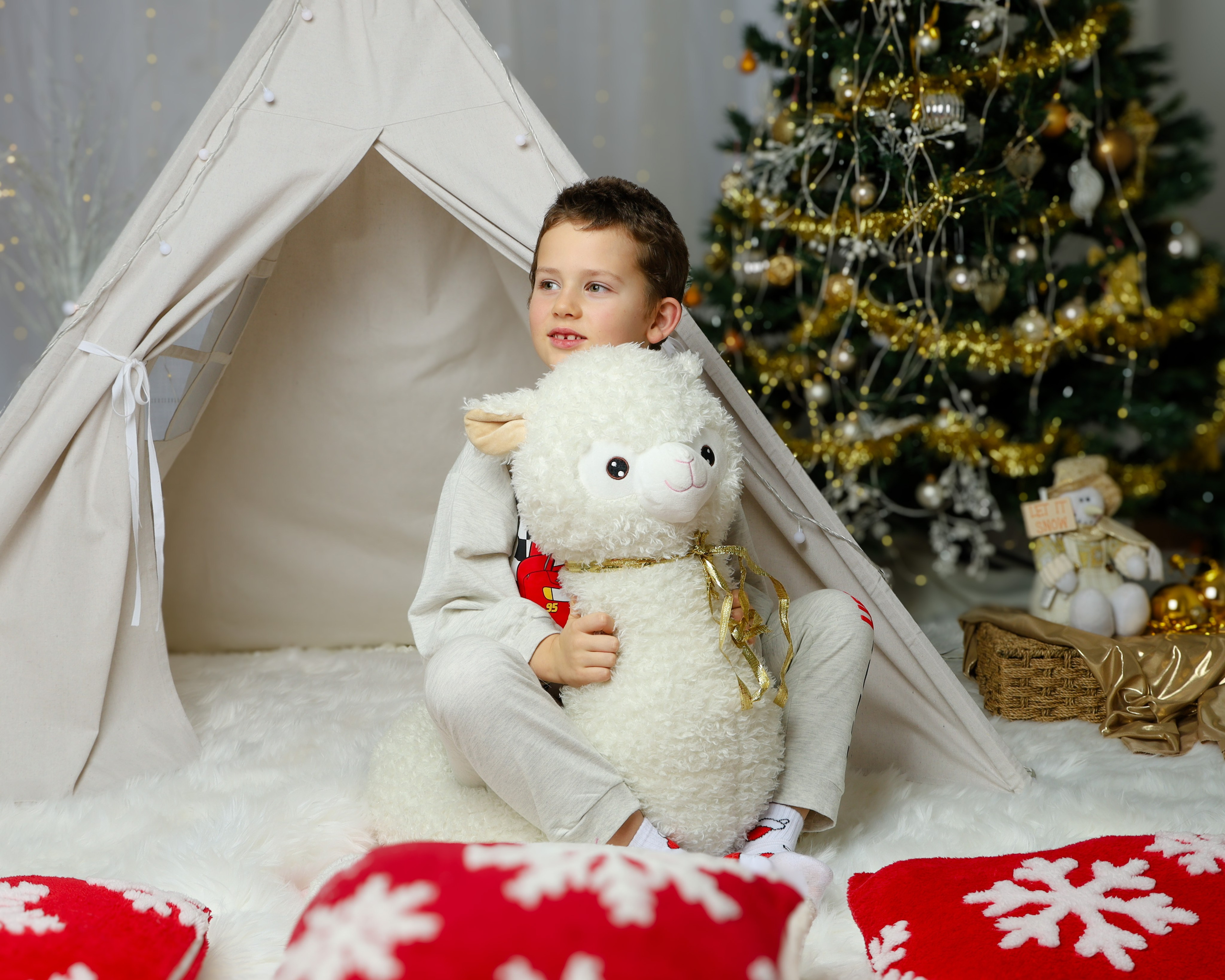 Christmas. Olga Rocheva Photography