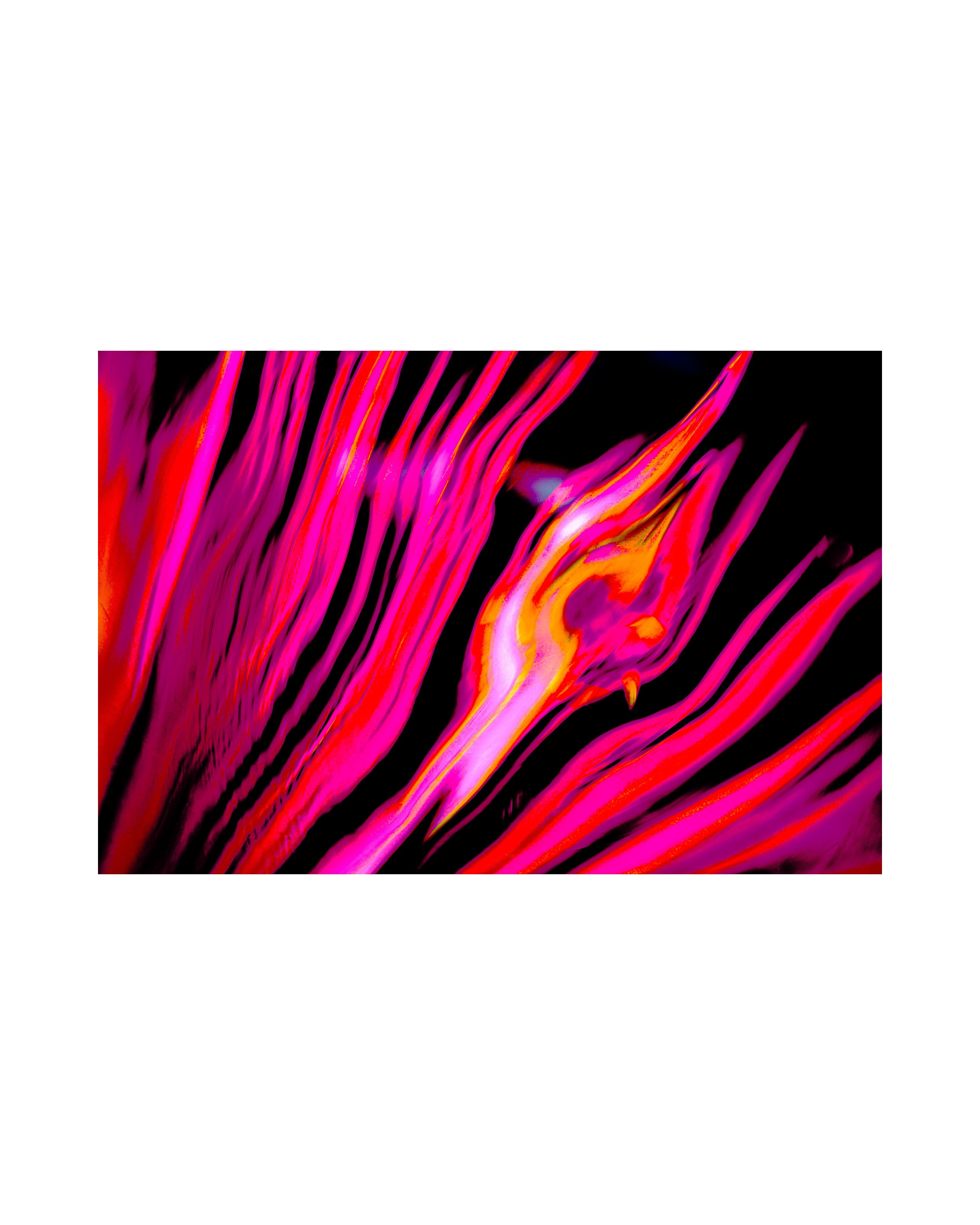 Nature from Exaggerated Worlds. Ekaterina Tsurkina-Appina Photography Canada