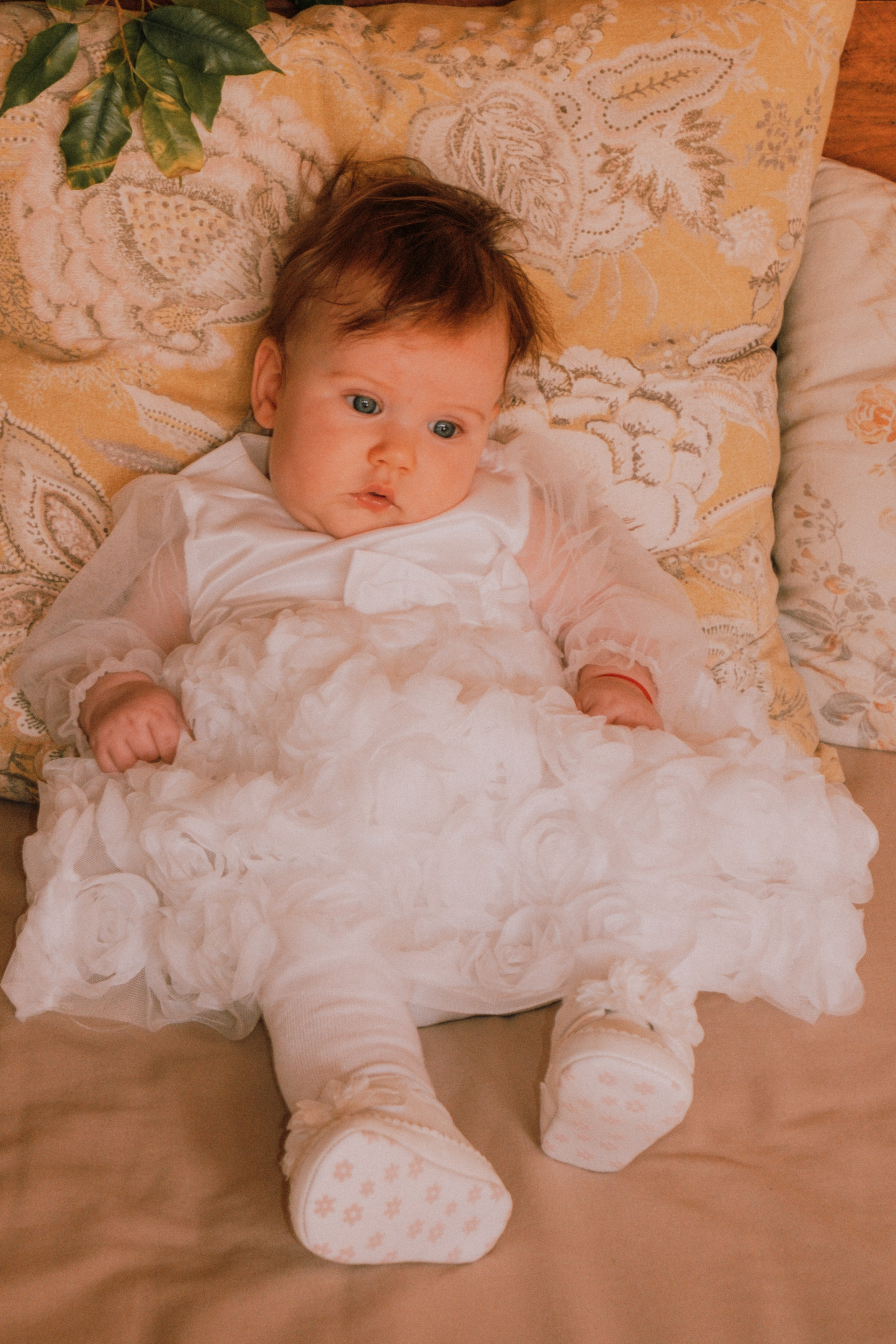 Sesión familiar. Профессиональная фотосъемка в Калафелле — Елена Медведева