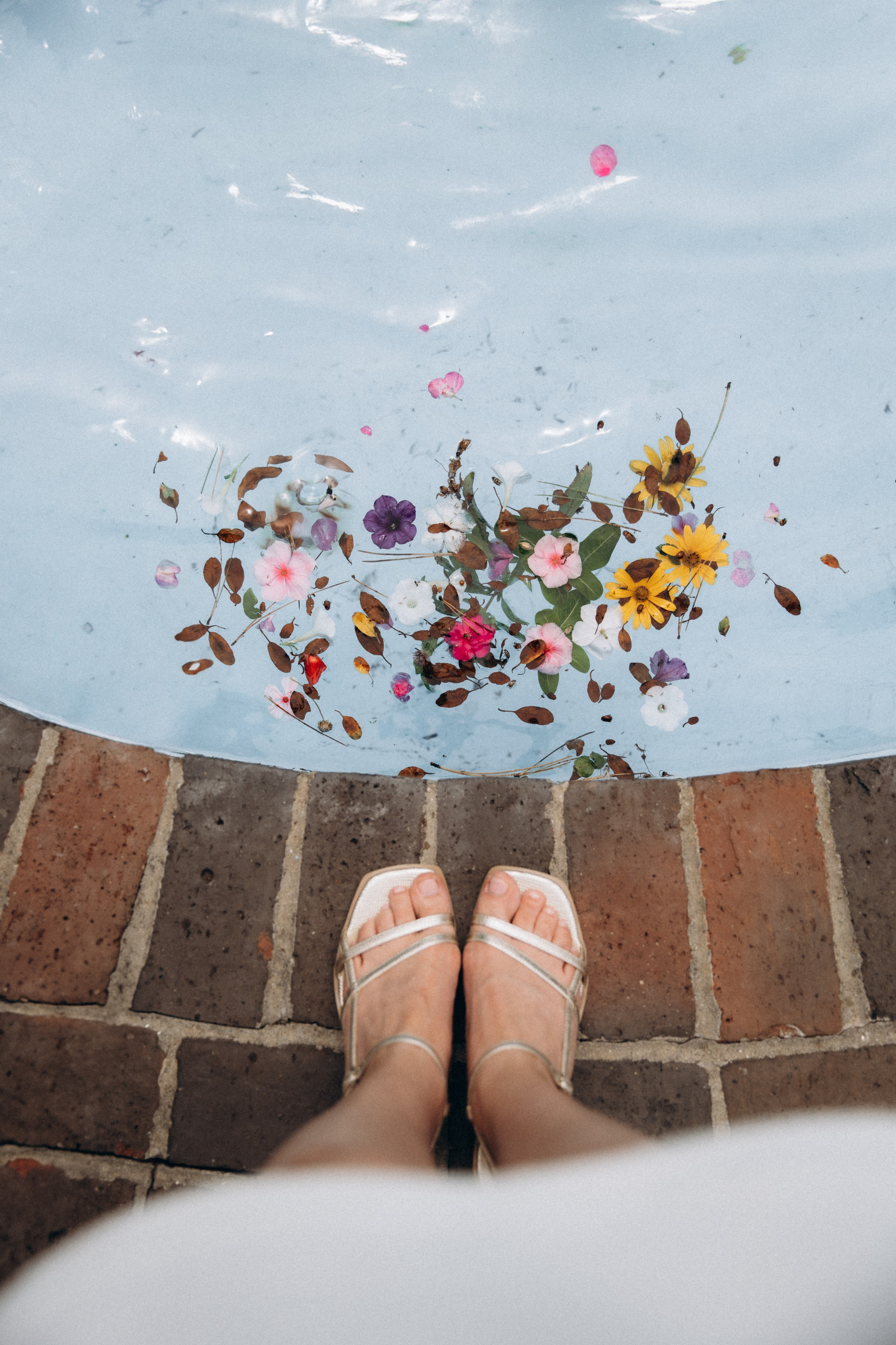 Kirby & Matt | Civil Wedding in Portsmouth, NH