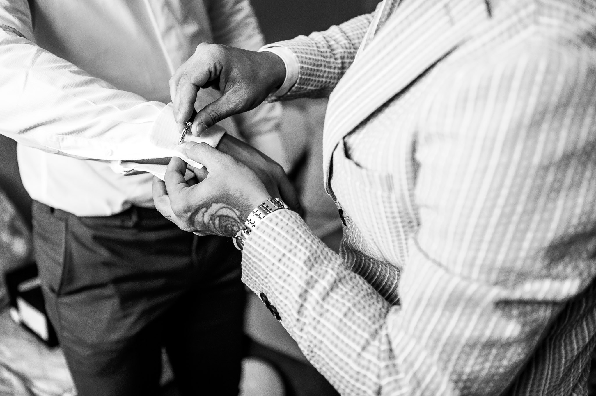 Selectie. Daniel Rotaru Photography