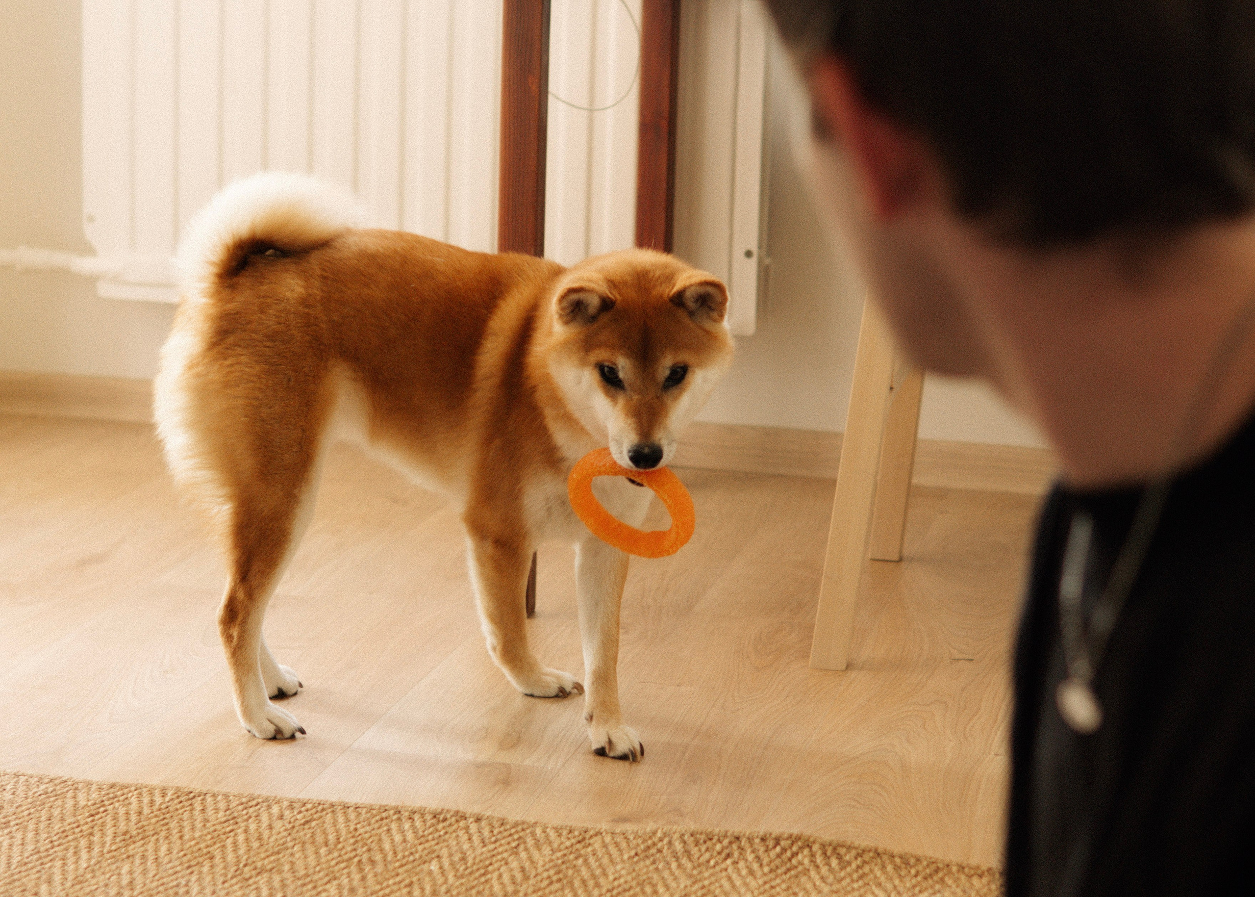 Kaamera ühel või teisel küljel. Meeste ja naiste fotograaf Tallinnas Anna Sipari