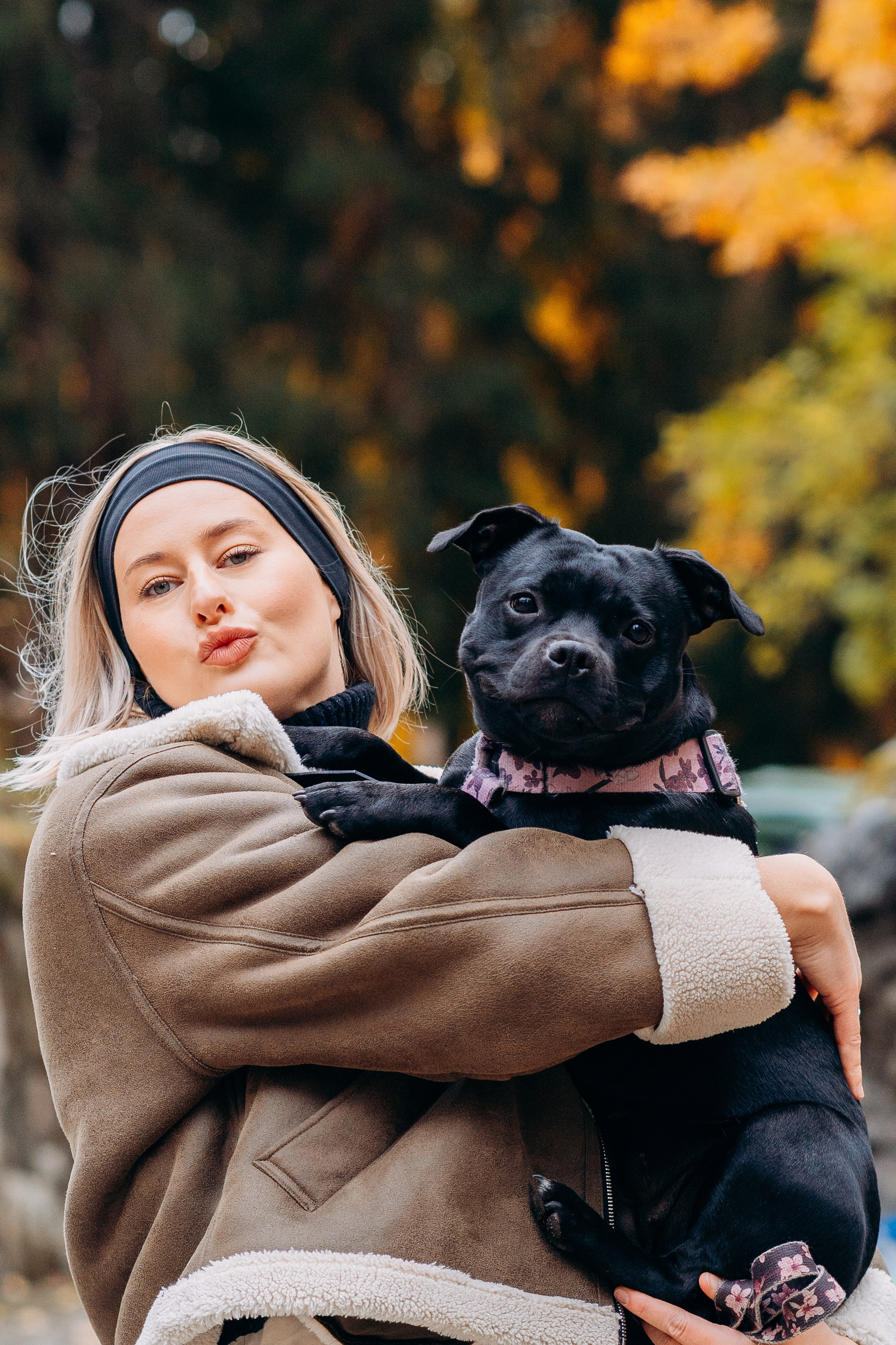 Staffordshire Bull Terriers Meetup. Kat Laisaar — Pet photographer in Tallinn