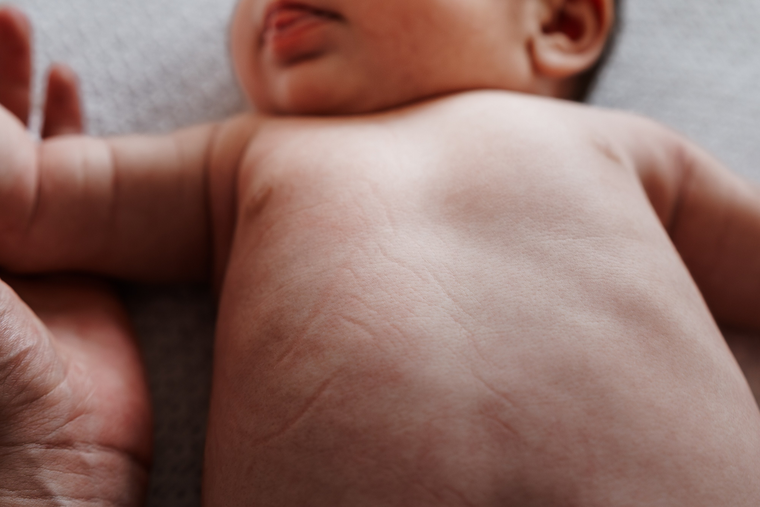 Pet. Profesionalna Fotografija Beograd — Staša Komatina