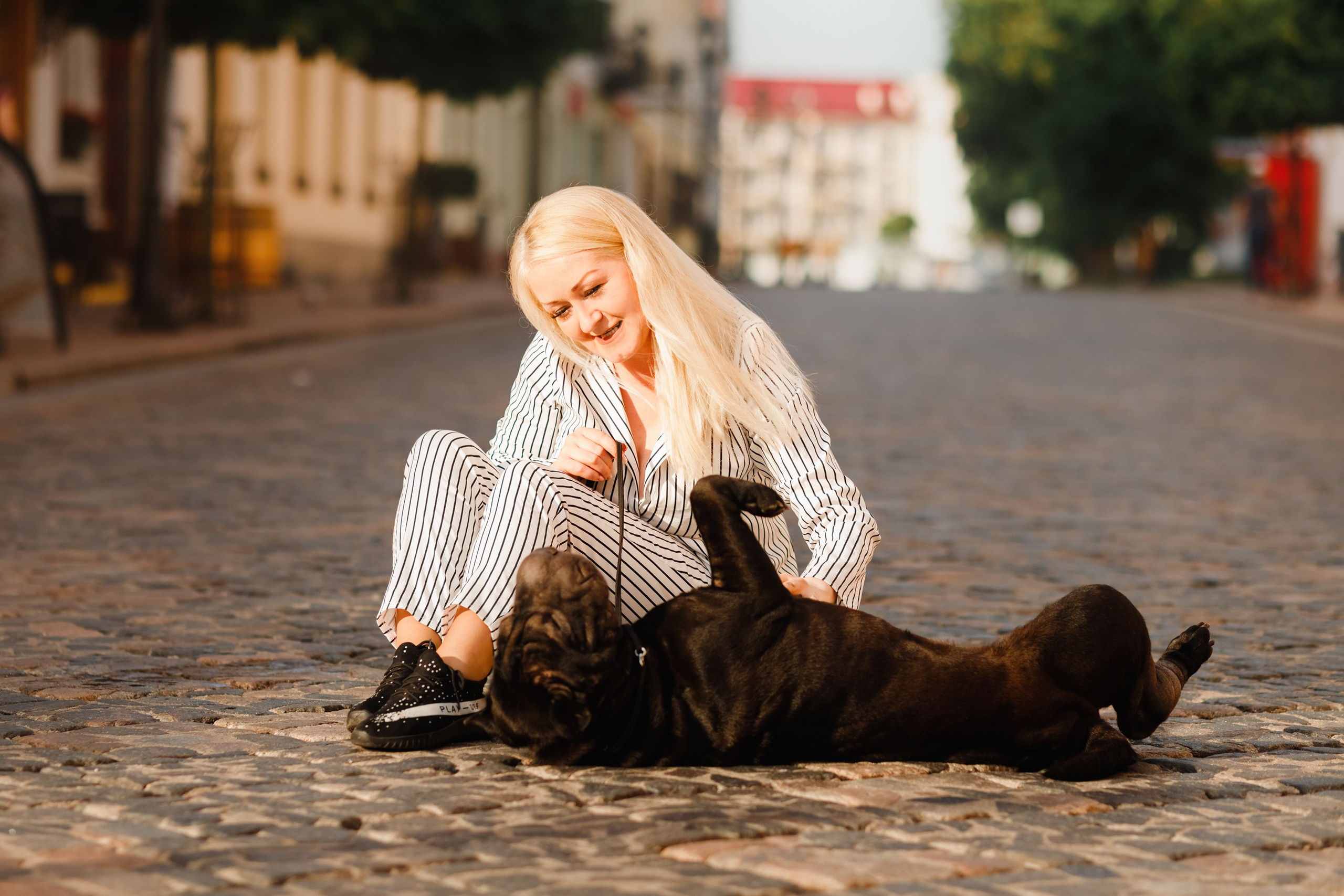 Shar pei in the city. Kaja | fotograf psów we Wrocławiu
