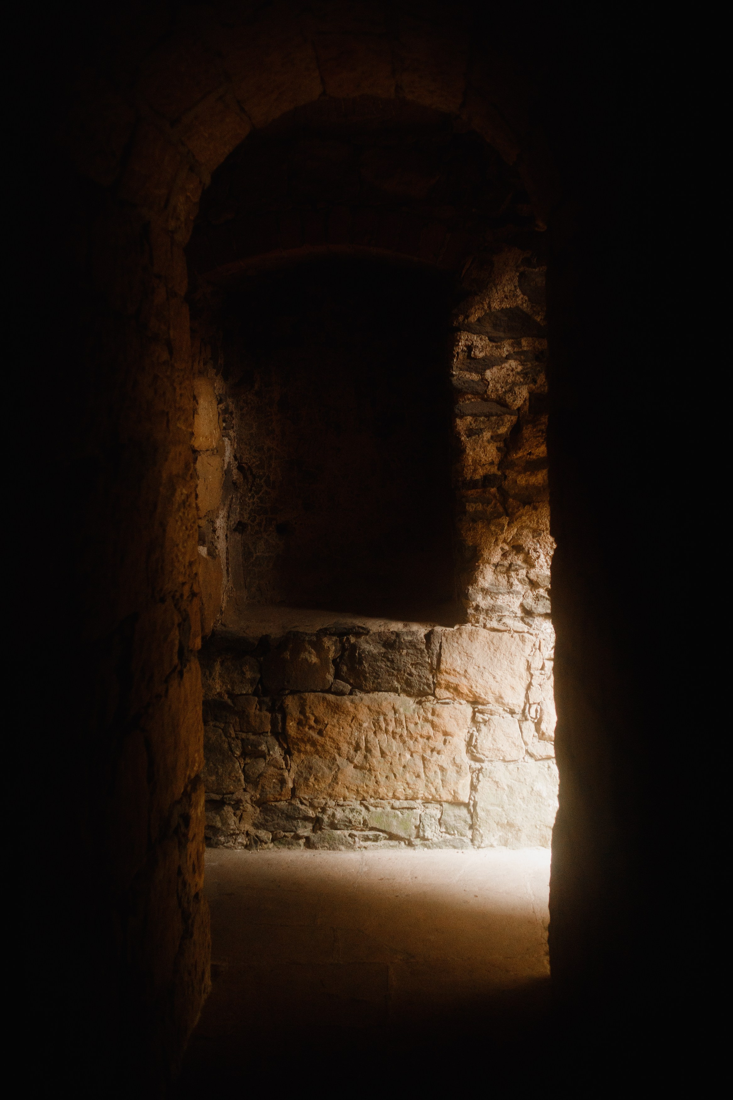 Zamek Grodziec. Kaja | fotograf psów we Wrocławiu