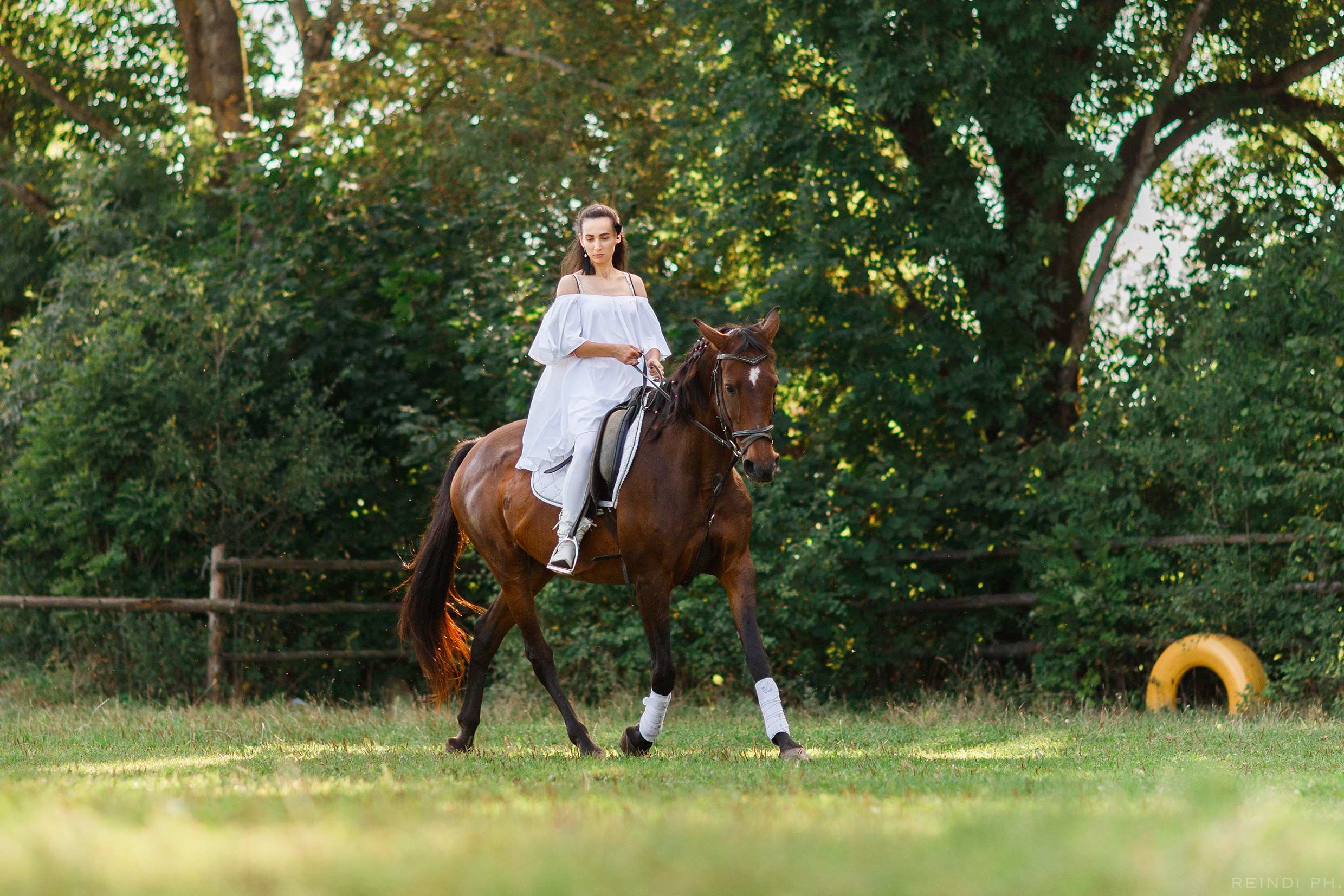 Horse show in the village. Kaja | fotograf we Wrocławiu | ludzie i psy